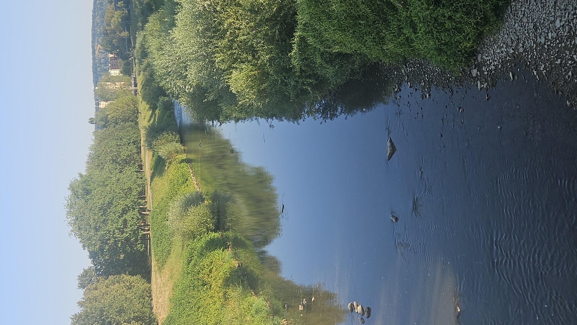 This image captures a serene view of the Torysa River in Prešov, Slovakia. The river flows through a verdant landscape, with lush green trees and bushes lining its banks. The water is calm and reflects the clear blue sky, creating a mirror-like effect. On the left bank, a pathway runs alongside the river, bordered by grassy slopes and mature trees. The right bank is densely vegetated with thick foliage. In the background, buildings and trees suggest an urban environment beyond the natural setting. The overall impression is one of tranquility and natural beauty within a city.