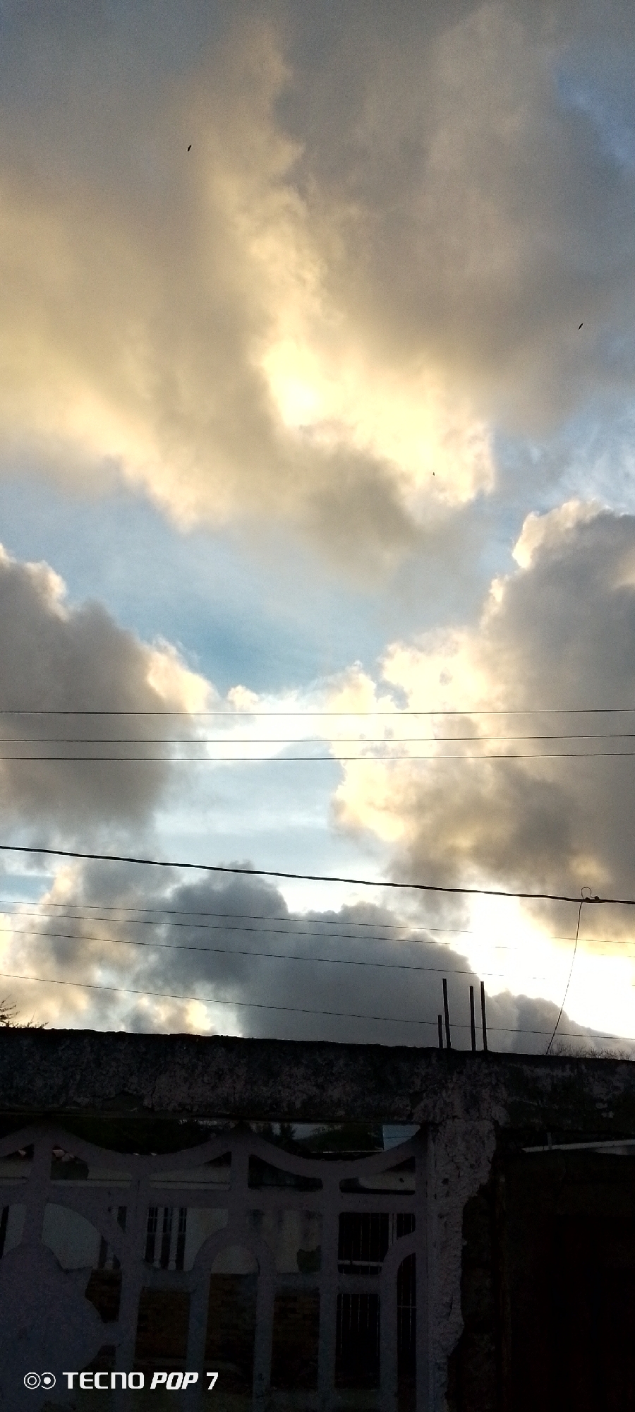 The image presents an outdoor scene dominated by a dynamic sky filled with large, textured clouds. These clouds exhibit a range of colors, from dark greys and whites to vibrant golden-yellows, strongly suggesting either sunrise or sunset. Sections of clear, light blue sky are visible between the cloud masses.
Several small, dark specks, identified as birds, are visible against the cloudy backdrop in the upper part of the frame. Below the clouds, multiple dark utility wires stretch horizontally across the mid-ground, silhouetted against the bright sky.
The lower portion of the image shows the top of a weathered, concrete or masonry wall. On the right side, three dark, vertical metal rods protrude from this wall. Below the wall, partially visible, is a white or light-colored fence or gate featuring decorative arched cutouts. Dark vegetation is subtly visible near the top of the wall on both sides.
The scene captures a moment of natural beauty, with no human activity taking place. The dramatic lighting on the clouds creates a sense of depth and atmosphere. The setting appears to be urban or semi-urban.
In the bottom left corner of the image, the text "TECNO POP 7" is visible, indicating the camera or device used. The overall impression is one of a serene yet powerful sky, typical of dawn or dusk.