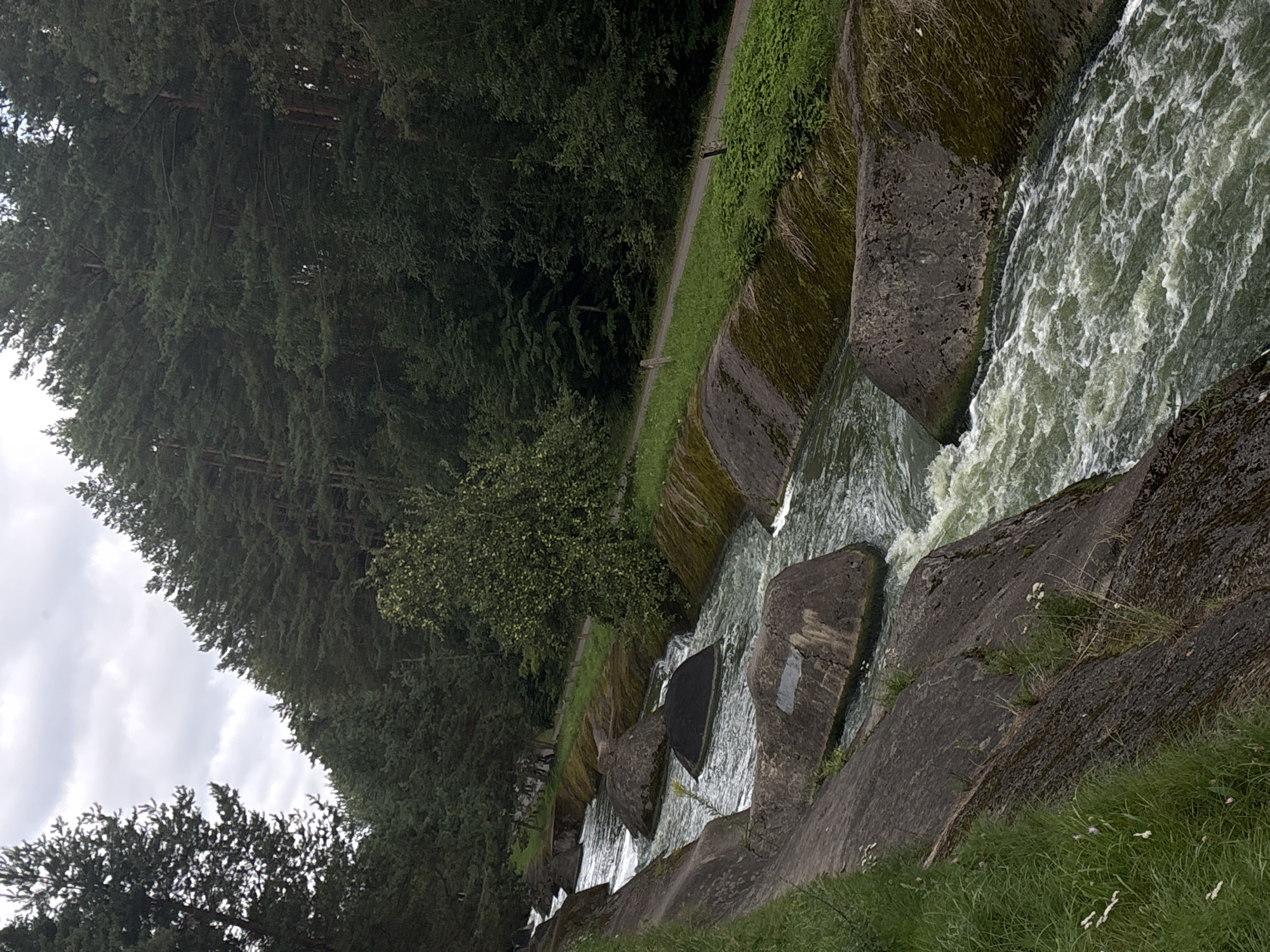 The image shows a canal with rapids flowing through it, bordered by rocky, moss-covered banks and a dense evergreen forest. The canal is lined with large, irregularly shaped concrete structures that create the rapids. The water is a greenish-brown color and appears to be moving swiftly. A narrow path runs along the top of the right bank, bordered by green grass and smaller bushes. In the background, the forest is thick and stretches up a gentle slope, with tall pine trees dominating the scene. The sky is overcast with gray clouds. There are no people visible in the image. The location appears to be a natural or semi-natural water management system within a forested area.