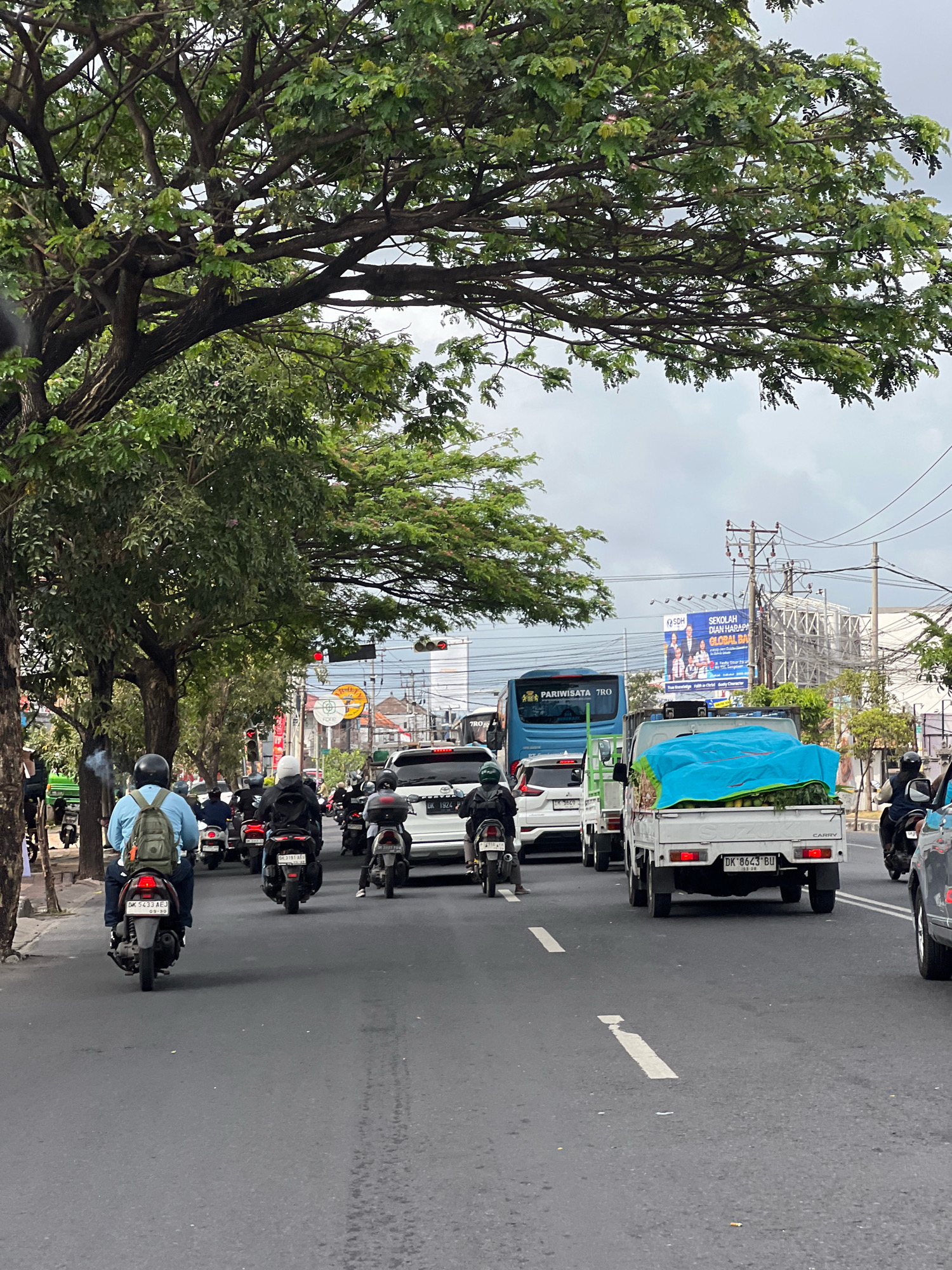 A busy street scene unfolds in Denpasar, Indonesia, characterized by heavy traffic and lush green trees lining the roadway. The image captures a stream of motorcycles and cars navigating the asphalt, indicating a typical day in the city. A light truck, covered with a bright blue tarp, is prominently featured in the foreground, its rear visible as it moves with the traffic. Several individuals are seen riding motorcycles, some wearing helmets, their movements part of the general flow of vehicles. The environment is urban, with buildings and power lines visible in the background, suggesting a developed area within Denpasar. The sky appears overcast, with clouds suggesting a muted light. The overall impression is one of a bustling urban environment in Indonesia, with a focus on the daily commute and transport of goods.