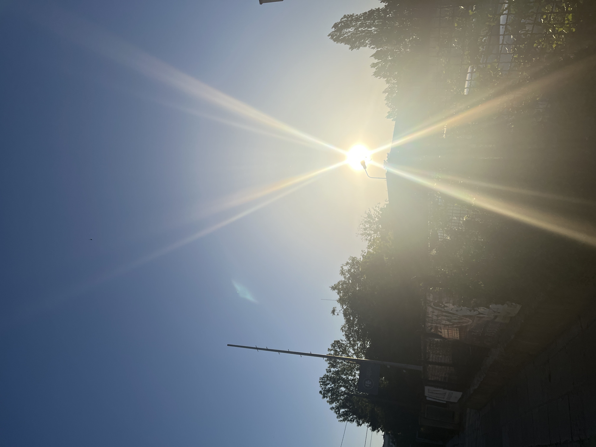 The image depicts a bright, sunlit urban scene. The sun is the dominant feature, with prominent rays emanating from its position in the sky. Trees and foliage line the right side of the frame, partially obscuring what appears to be a building or structure in the background. A long, slender pole is visible extending towards the sky from the lower right, near a sign with what seems to be a clover on it. The sky is a clear blue. The location in the city of Unknown, Unknown is unspecified.