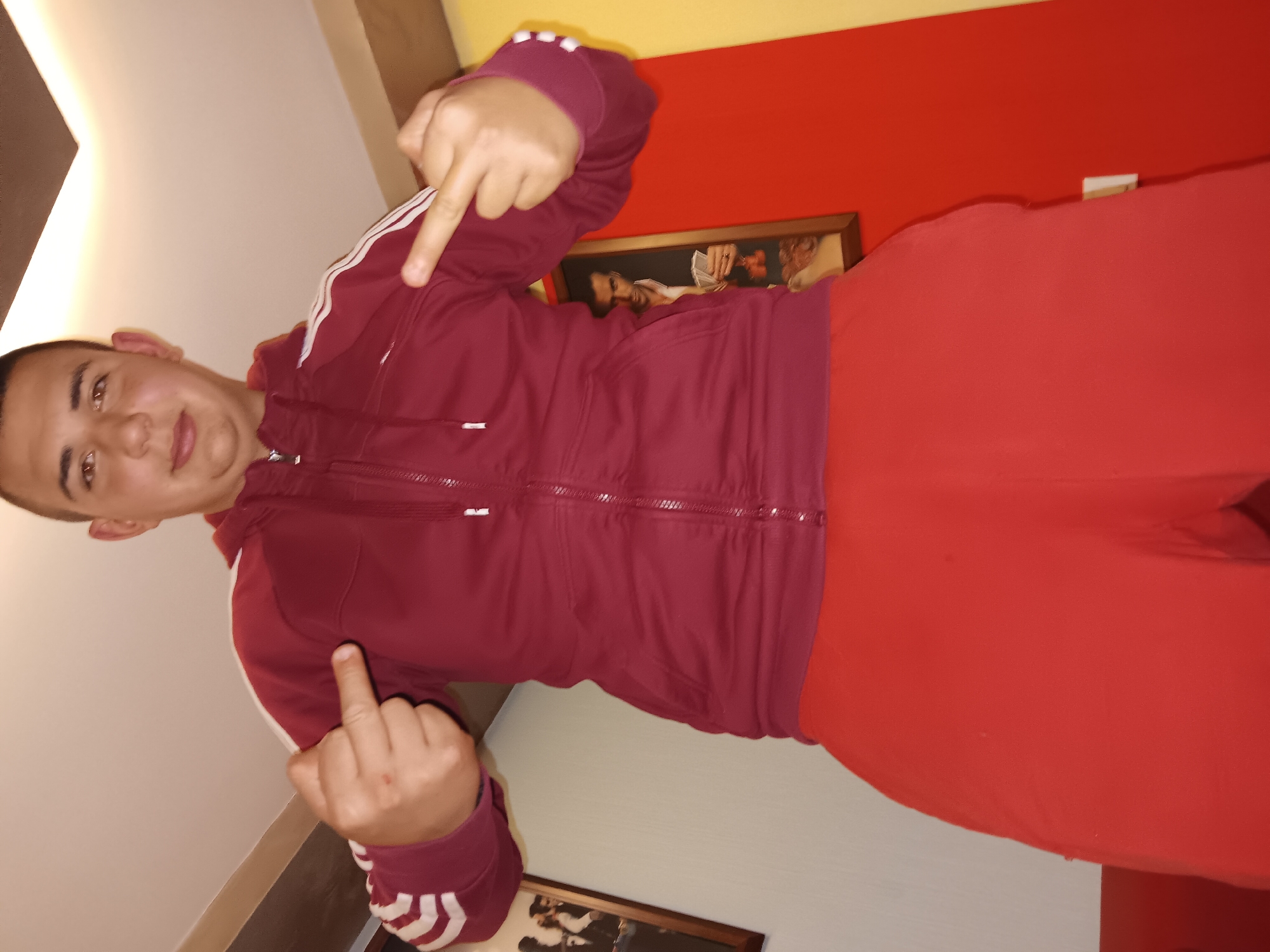A young person is standing indoors wearing a red tracksuit with white stripes on the arms of the jacket. The person is giving the middle finger with both hands. There is a painting on the wall behind the person, which is red and white. The location is in the city of Unknown, Unknown.