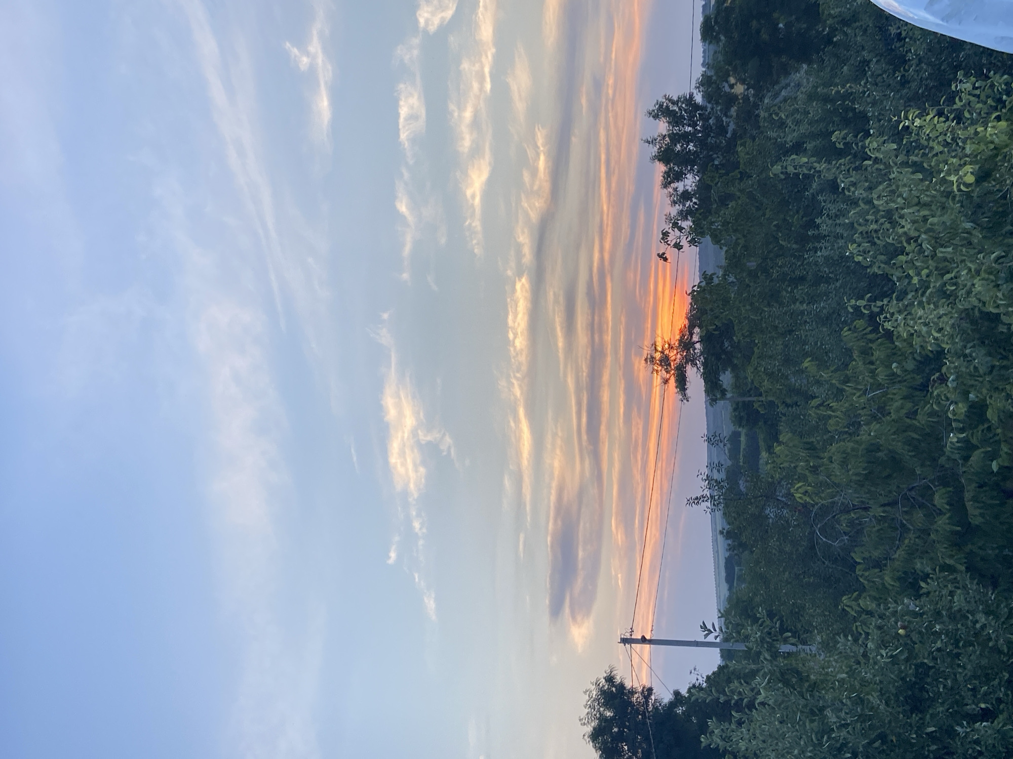 A sunset casts a warm glow over a rural landscape. The sky is a gradient of blues and oranges, with wispy clouds streaking across it. In the foreground, a dense canopy of green trees obscures the ground, their leaves a deep emerald in the fading light. A single utility pole stands tall amongst the foliage, its wires stretching horizontally across the frame. Beyond the trees, rolling hills are visible, their contours softened by the distance and the twilight. The overall impression is one of tranquility and natural beauty, undisturbed by the presence of human activity.