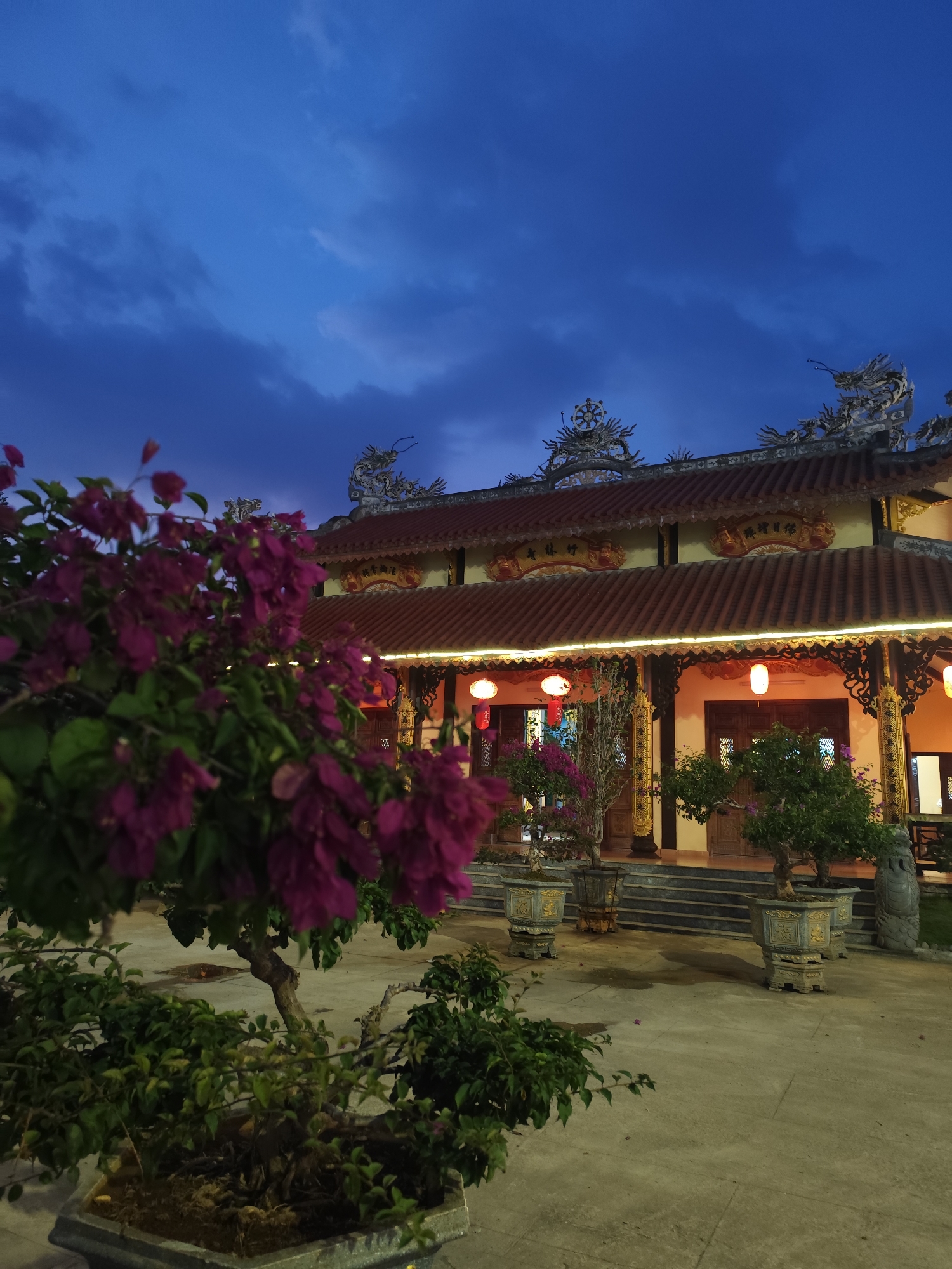 The image depicts a building, likely a temple or traditional structure, in Lâm Viên - Đà Lạt, Vietnam. The building has a red tile roof with decorative dragon statues along the ridge. Ornamental carvings and string lights adorn the façade. Red lanterns hang along the porch. The building is accessed by a set of steps.
In the foreground, there are potted plants, including a bougainvillea bush with bright magenta flowers. The ground is paved. The sky is a deep blue with some clouds. The scene is captured at twilight or dusk, with the building's lights illuminated.