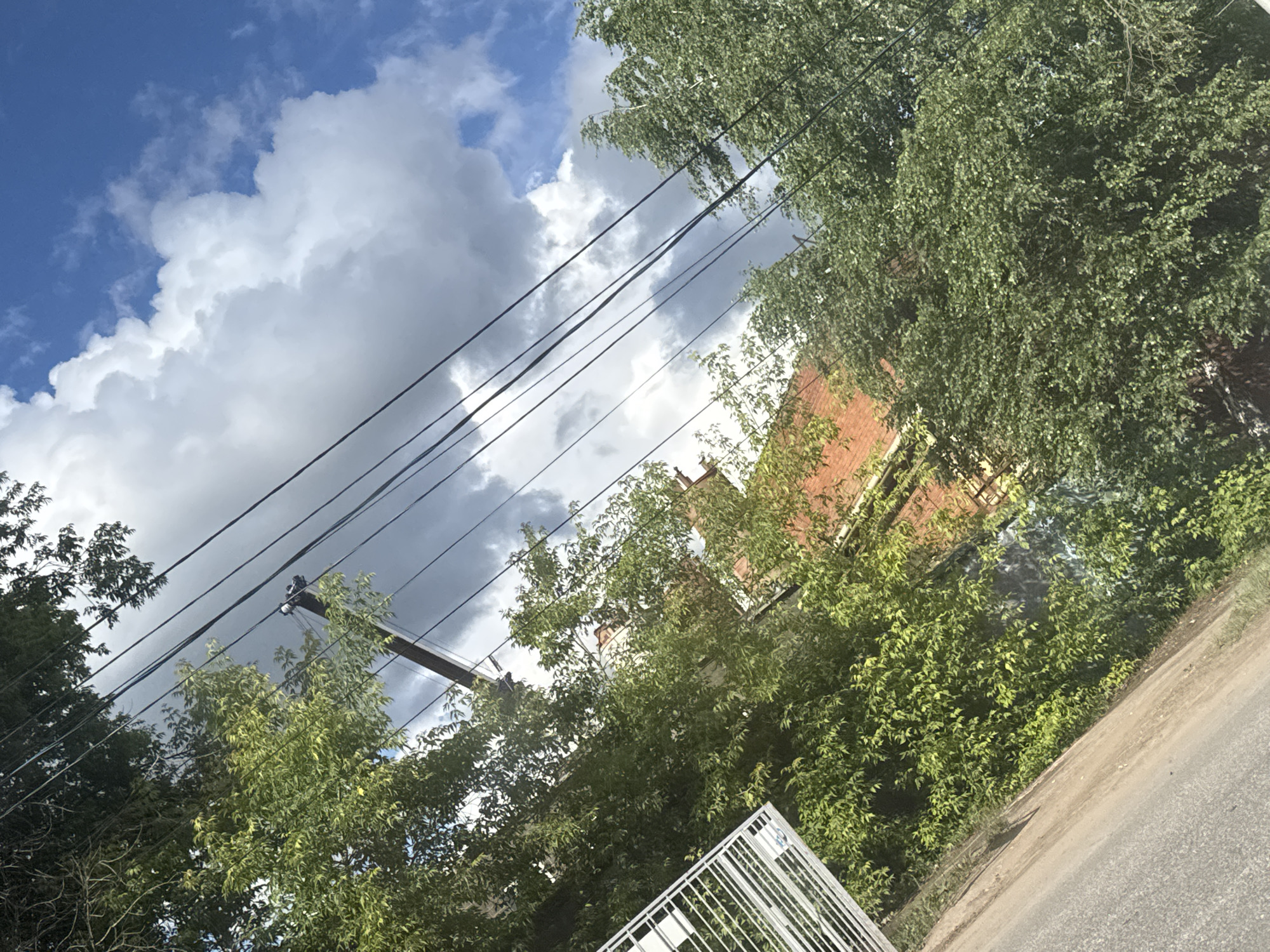 This is a photo of a partially obscured street scene in Khimki, Russia, taken on a bright, cloudy day. The camera is angled upwards, looking past overhead wires and dense green foliage towards a building. The sky is a vibrant blue with large, fluffy white clouds mixed with darker, more ominous gray ones, suggesting a dynamic weather system.
Several dark utility wires stretch diagonally across the frame, some supported by a wooden utility pole visible in the middle right of the image. These wires cut through the view of the sky and the trees. Lush green trees with dense leaves dominate the midground, their branches obscuring much of the background. A glimpse of a brick building, likely residential or industrial, is visible through the leaves. In the foreground, a portion of a white metal fence is visible at the bottom, with a section of an asphalt road or pathway extending into the distance at an angle.
The overall impression is one of an outdoor urban or suburban environment on a day with changing weather. The strong sunlight suggests it is daytime, likely afternoon, given the mix of bright and dark clouds. There is no visible text in the image. The scene is natural and unposed, capturing a moment in time of an ordinary day.