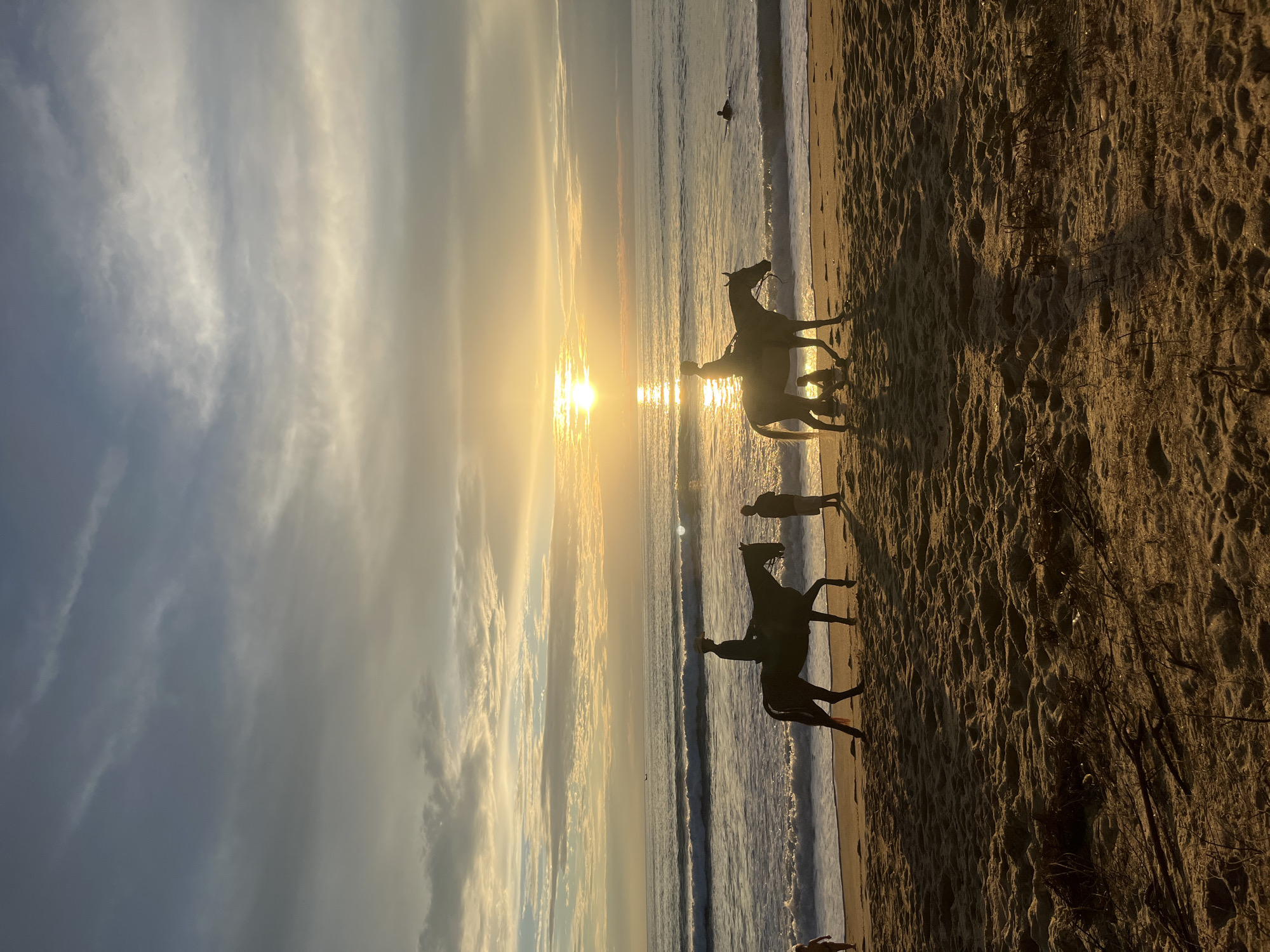 The image captures a serene beach scene at sunrise, likely in Kamala, Thailand, given the characteristic warm light and ocean waves. Two individuals are silhouetted on horseback, riding along the wet sand at the edge of the gently rolling waves. A third person stands near one of the horses, interacting with the rider. In the distance, another person can be seen in the water, possibly swimming or surfing. The sun is low on the horizon, casting a golden glow across the sky, with scattered clouds adding texture to the atmospheric vista. The foreground is dominated by the sandy beach, with some dry vegetation and debris scattered across its surface. The overall impression is one of tranquility and natural beauty.