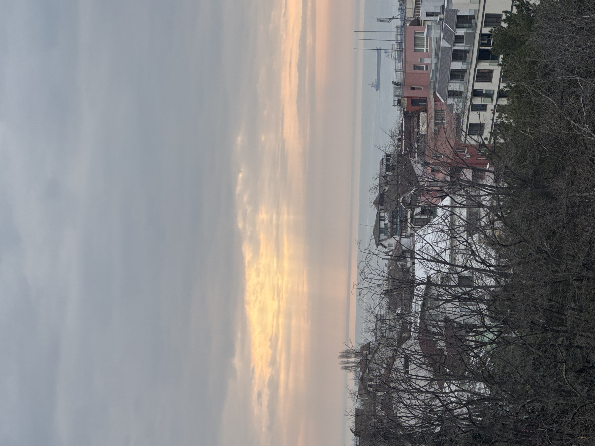 The image depicts a cityscape, likely in Varna, Bulgaria, viewed from an elevated position. A body of water with a ship is visible on the horizon, suggesting a coastal location. The sky is overcast with streaks of light, possibly indicating sunrise or sunset. In the foreground, bare trees obscure some of the view, revealing buildings of various heights and colors. The scene is static with no evident human activity. The season appears to be winter or early spring, based on the absence of leaves on the trees.