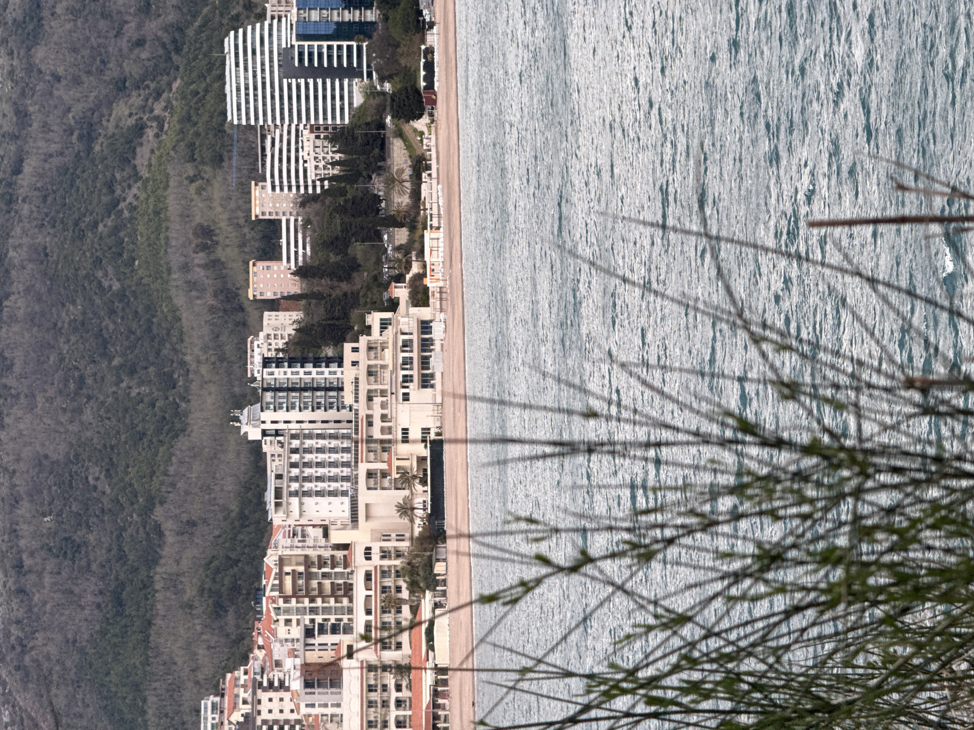 The image depicts an aerial view of a coastal cityscape adjacent to the Adriatic Sea, likely Budva, Montenegro. The coastline is bordered by a sandy beach which separates the sea from a line of buildings, predominantly hotels and residential complexes of varying heights and architectural styles. Dense, predominantly dark green foliage lines the landward side of the buildings. In the foreground, out-of-focus tree branches with budding leaves partially obscure the view.