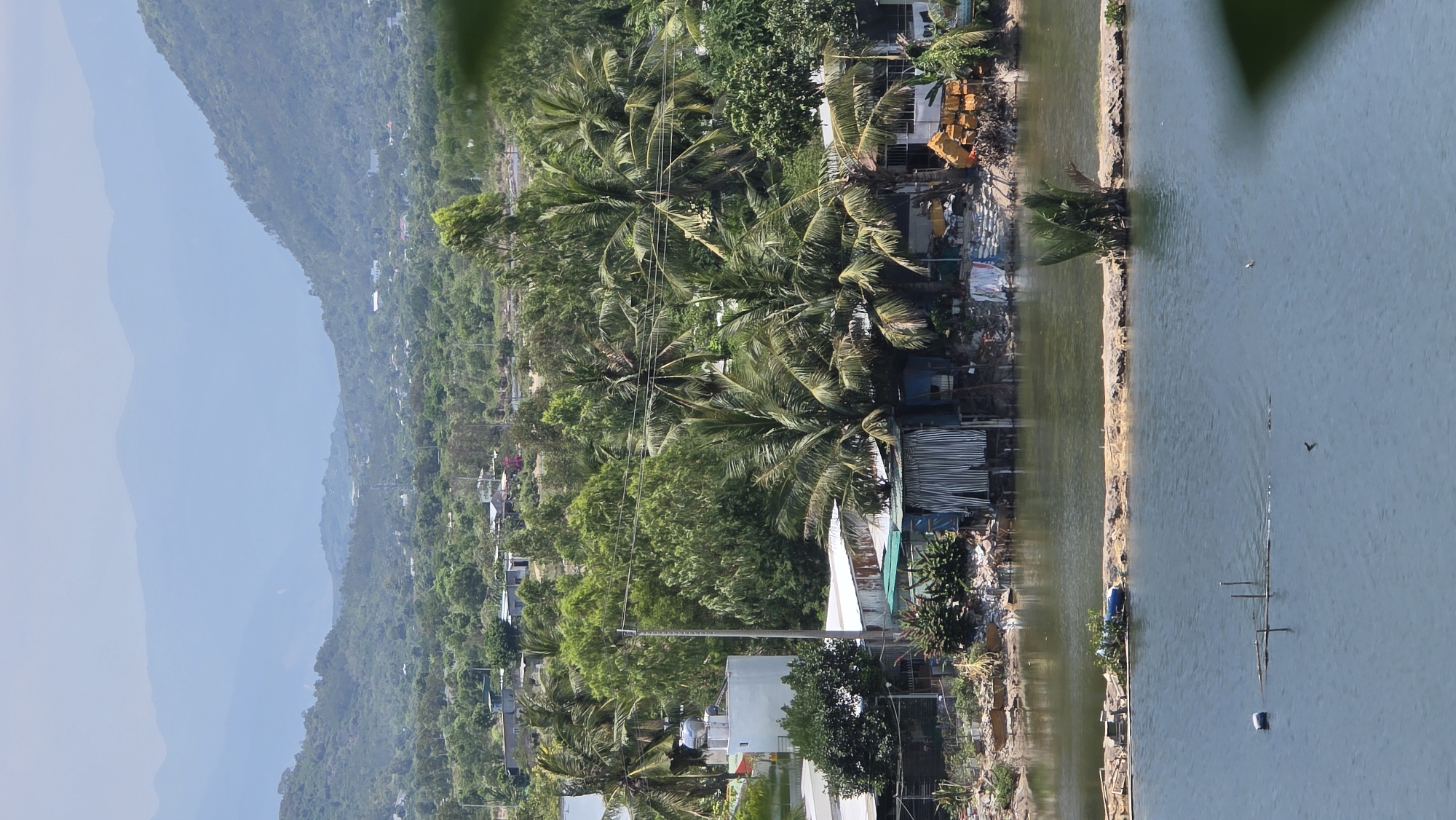The image shows a view of a coastal area in Nam Natural Heritage Area Trang, Vietnam. On the left, mountains are visible, covered with dense green vegetation. Moving towards the right, there is a settlement with buildings, houses, and trees. Palm trees are scattered throughout this area. A body of water is present on the right side of the image, and the shoreline is visible. There are some structures and debris along the shore. Some poles and objects are sticking out from the water, and some birds are flying above it.