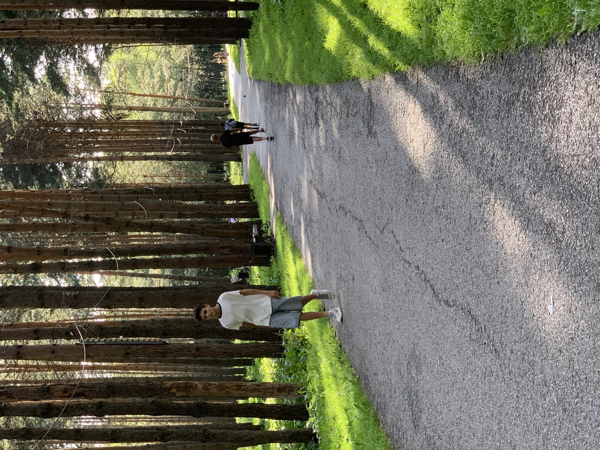 The image depicts a paved pathway winding through a dense forest of tall pine trees. The sun casts dappled shadows on the path and the vibrant green grass bordering it. In the foreground, a young person with dark, curly hair is walking towards the camera, wearing a white t-shirt and light blue shorts. Further down the path, two other individuals are walking away, one in a black t-shirt and shorts, the other in a dark t-shirt and lighter shorts. In the distance, several more people are visible walking along the path. The setting appears to be a park or recreational area within the city of Prokopyevsk, Russia, characterized by its naturalistic environment with well-maintained pathways and abundant trees.