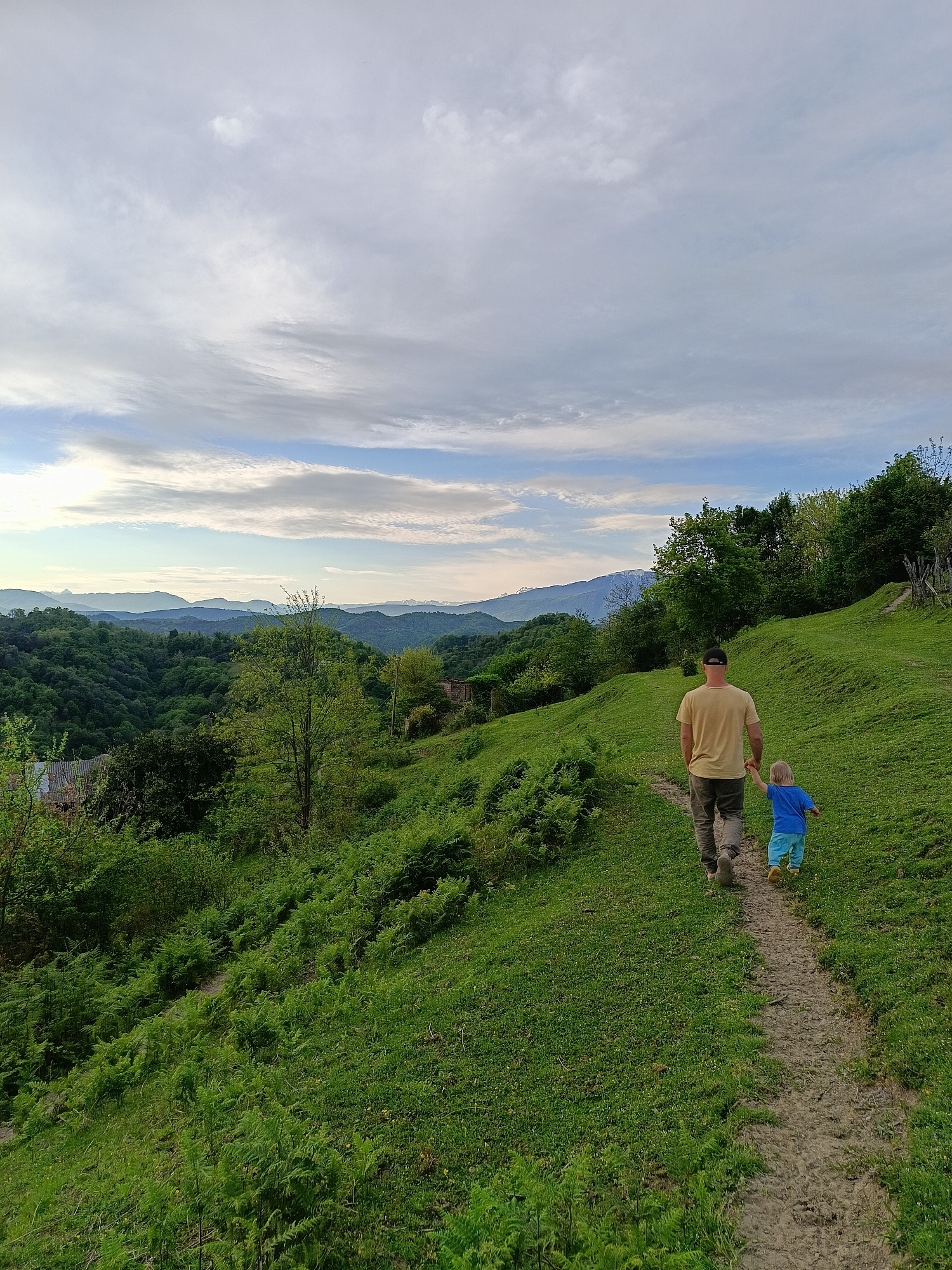 A medium-shot image captures a man and a young child walking away from the camera on a dirt path. The man, wearing a khaki t-shirt, dark trousers, and a baseball cap, holds the child's hand. The child, dressed in a blue shirt and shorts with yellow shoes, walks beside him. The path winds through a lush, green hillside with dense vegetation on either side, including ferns. In the background, a valley filled with trees stretches towards distant mountains under a cloudy sky. The image is taken in a rural area, appearing to be on the outskirts of the city of Yuada-Gulrypsh, Abkhazia.