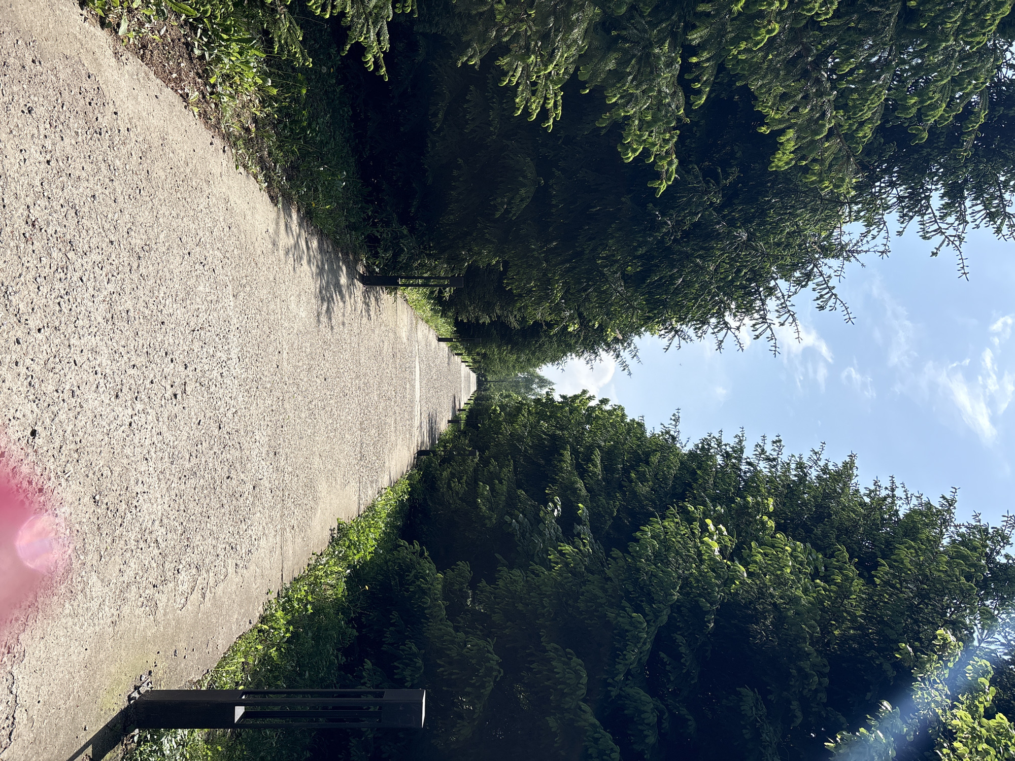 A straight, paved path stretches into the distance, flanked on both sides by dense, green trees. The trees form a canopy overhead, casting shadows on the path. The sky is visible in the distance, with a few wispy clouds. A metal railing is visible at the bottom left of the image. The location is Hatne, Ukraine.