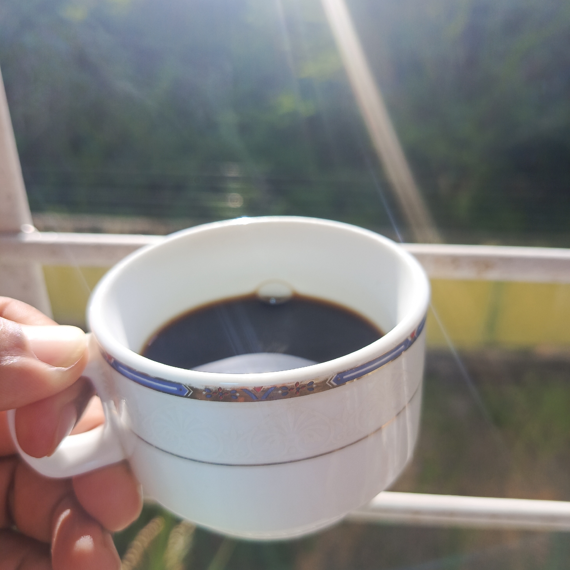A hand holds a white teacup filled with dark liquid, likely coffee, with a decorative blue and gold rim. The cup is positioned in the foreground, with a blurred background of green foliage and sunlight filtering through, suggesting an outdoor setting. The image is taken from a slightly low angle, looking up towards the cup and the sunlit sky. The specific location in Piloncito, Venezuela, is not determinable from the visual information provided.