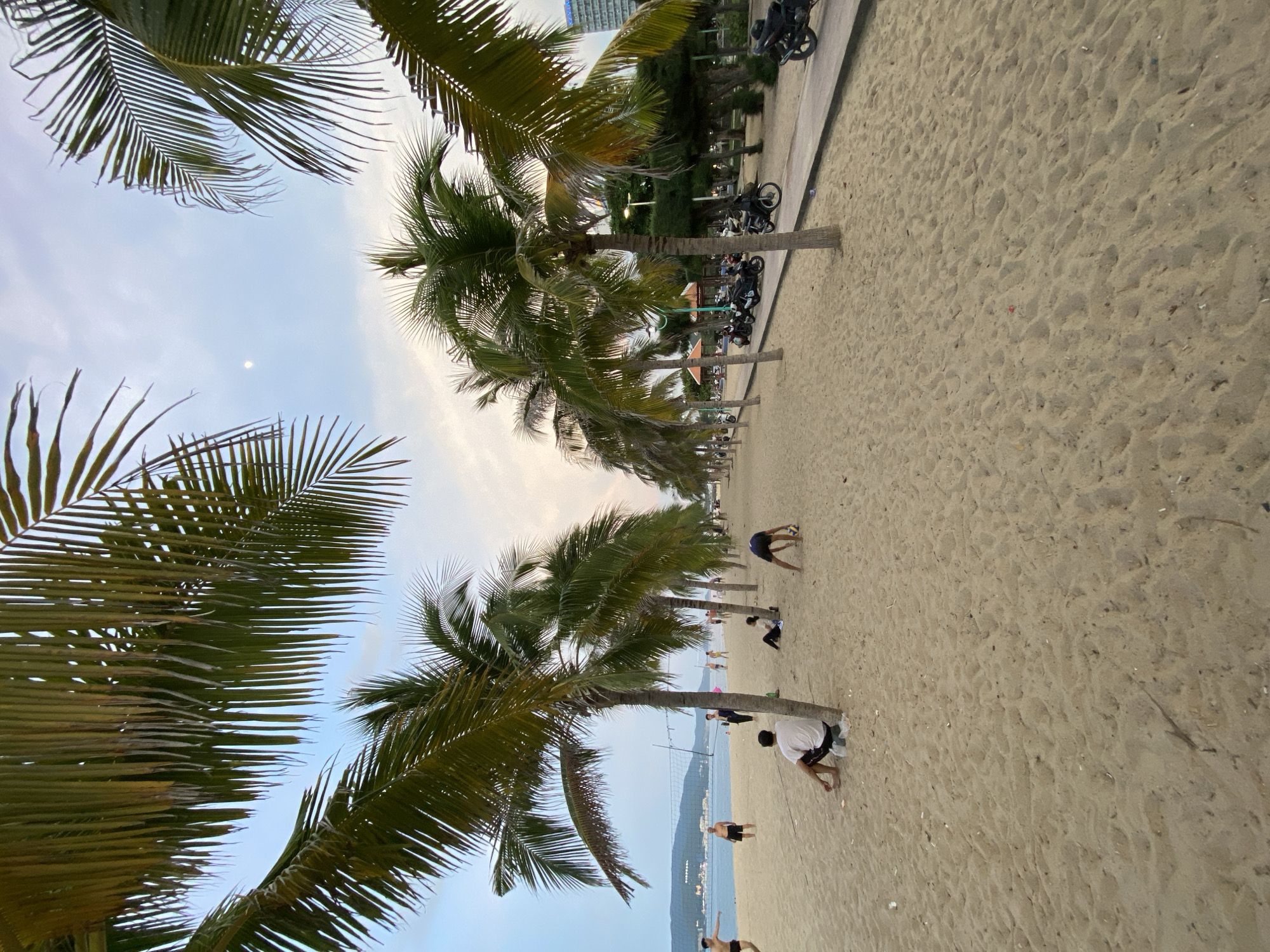 The image captures a view of a sandy beach in Nha Trang, Vietnam, characterized by a prominent row of palm trees lining a paved walkway. The time of day appears to be late afternoon or early evening, with soft, diffused lighting. The sky is a pale blue with hints of pastel colors, and a faint moon is visible. Several individuals are present on the beach. In the foreground, a person in a white shirt and dark shorts is sitting under a palm tree. Further back, near the water's edge, several people are engaged in activities like playing volleyball and standing around. Along the walkway, a line of parked motorcycles is visible, suggesting this is a common mode of transportation for visitors. The overall scene conveys a relaxed, recreational atmosphere typical of a coastal city.