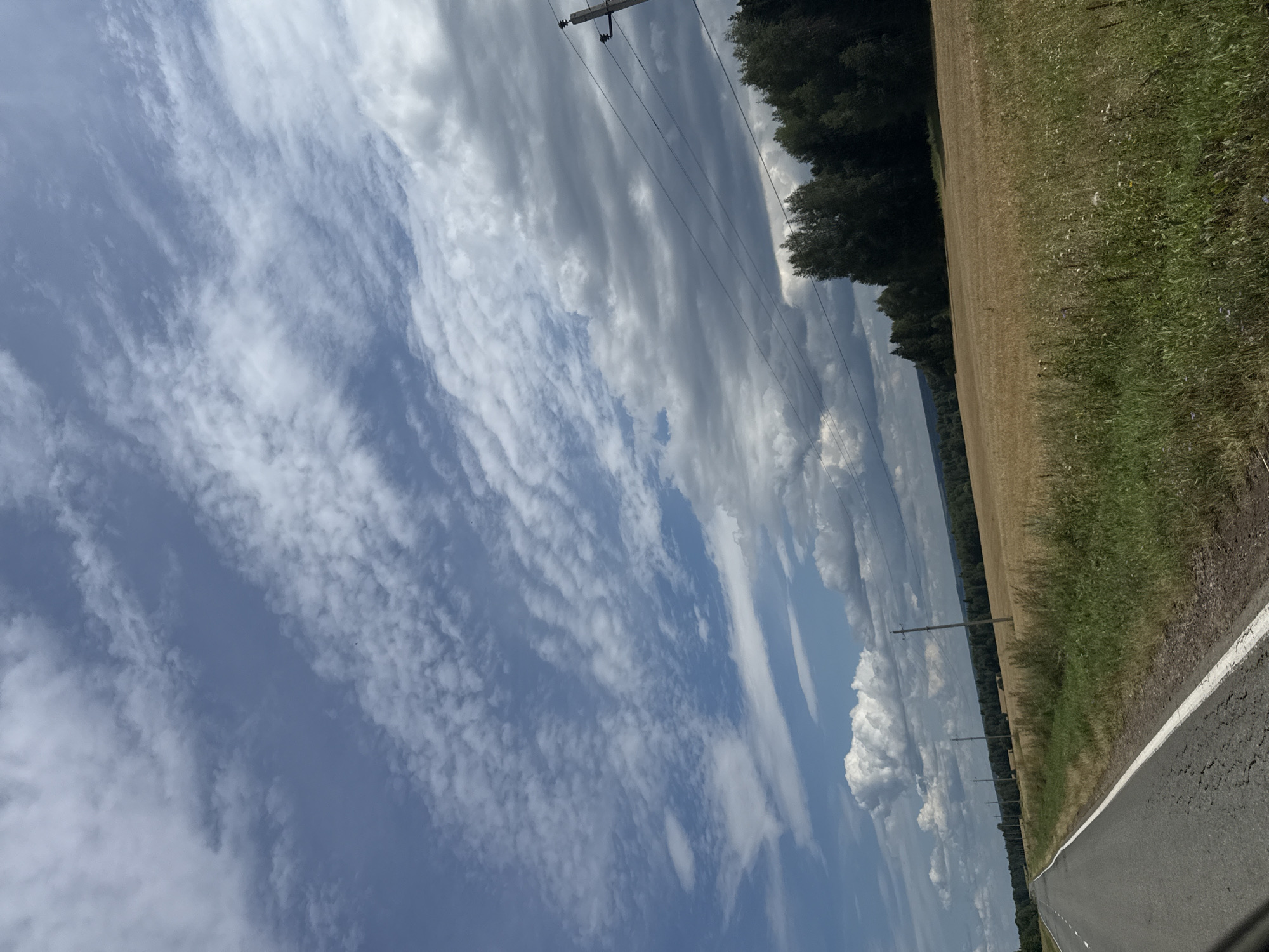 The image shows a landscape scene with a paved road on the left and a field of ripe wheat on the right. A line of trees borders the field in the distance, and power lines with poles are visible. The sky is partially cloudy with a mix of white and gray clouds. The image appears to be taken from a moving vehicle, as suggested by the blurred foreground and the perspective of the road. The scene is consistent with a rural or agricultural area, potentially in Nylga, Russia, given the context. There are no people or animals visible in the image. The overall impression is of a summer or early autumn day in the countryside.