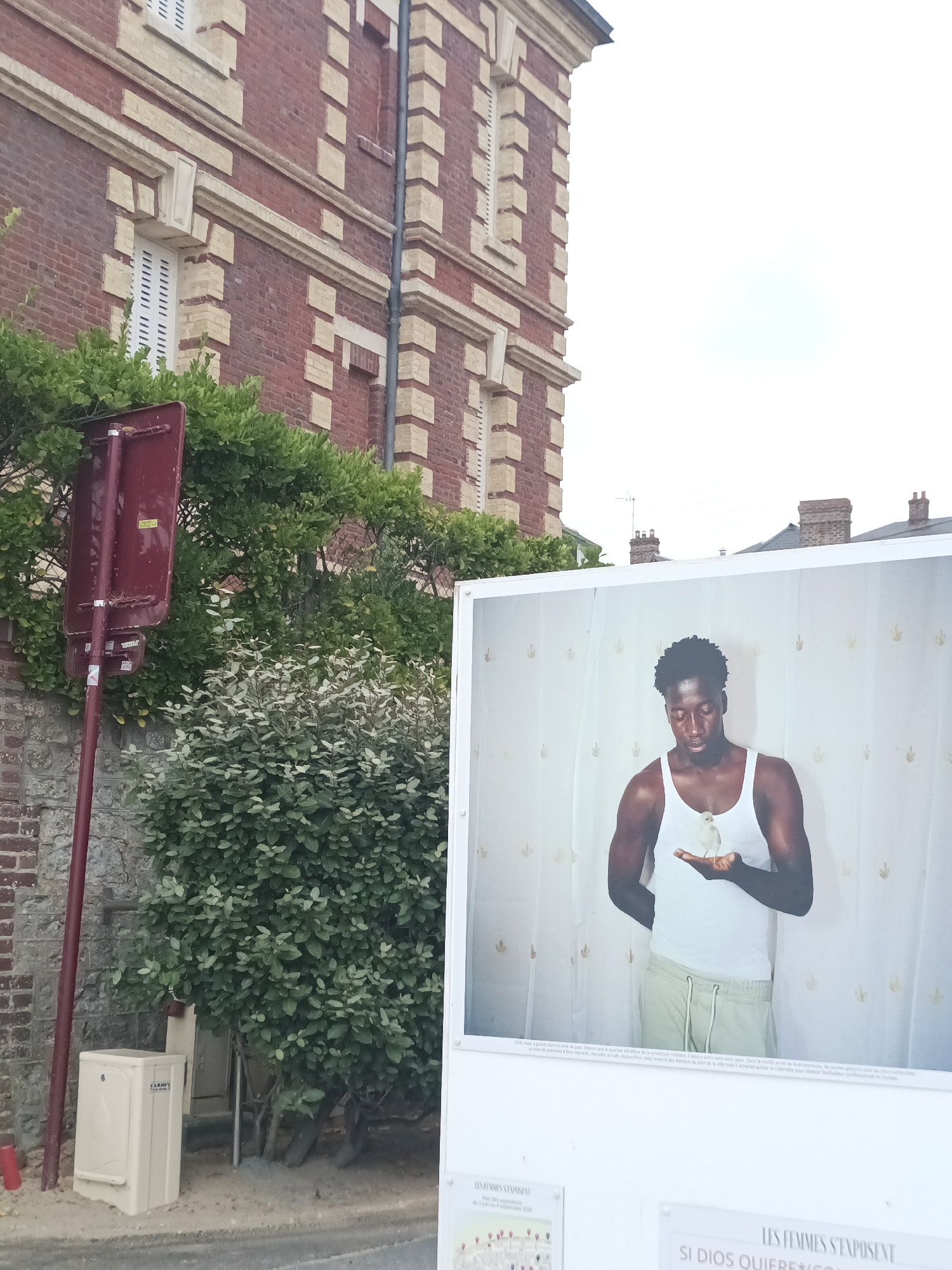 The image depicts a street scene in Houlgate, France. In the foreground, a large poster is displayed, featuring a portrait of a young Black man wearing a white tank top and light-colored sweatpants. He is holding a small white bird in his open palm, looking down at it with a pensive expression. The background of the poster appears to be a white fabric with a subtle pattern. To the left of the poster, a red metal sign is mounted on a pole, and a portion of a brick building with cream-colored trim is visible. Several green bushes are also present in the scene. The poster is part of an outdoor exhibition, as suggested by the text and map displayed on smaller posters below it. The overall lighting suggests it is daytime.