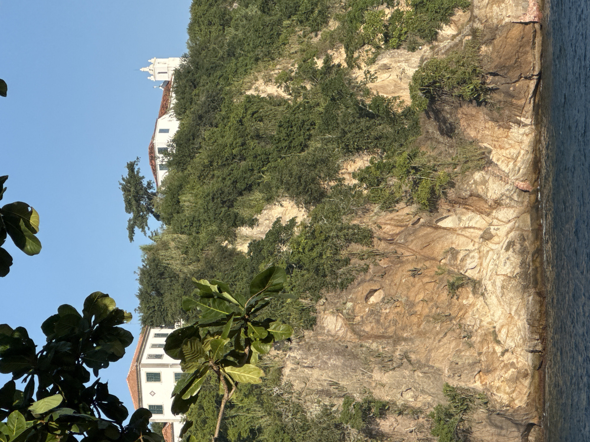 The image depicts a cliff face overlooking the sea in Niterói, Brazil. Two white buildings with red tile roofs are visible on the clifftop, surrounded by lush green vegetation. One building appears to be a house, while the other, with a bell tower, resembles a church or chapel. The cliff itself is composed of rough, textured rock, with various plants and trees clinging to its surface. The water at the base of the cliff is a deep blue, with gentle waves lapping against the shore. A few small, dark figures, presumably people, are visible on the rocky shoreline. The sky is a clear, bright blue, indicating a sunny day. The foreground is partially obscured by the leaves of a tree branch.