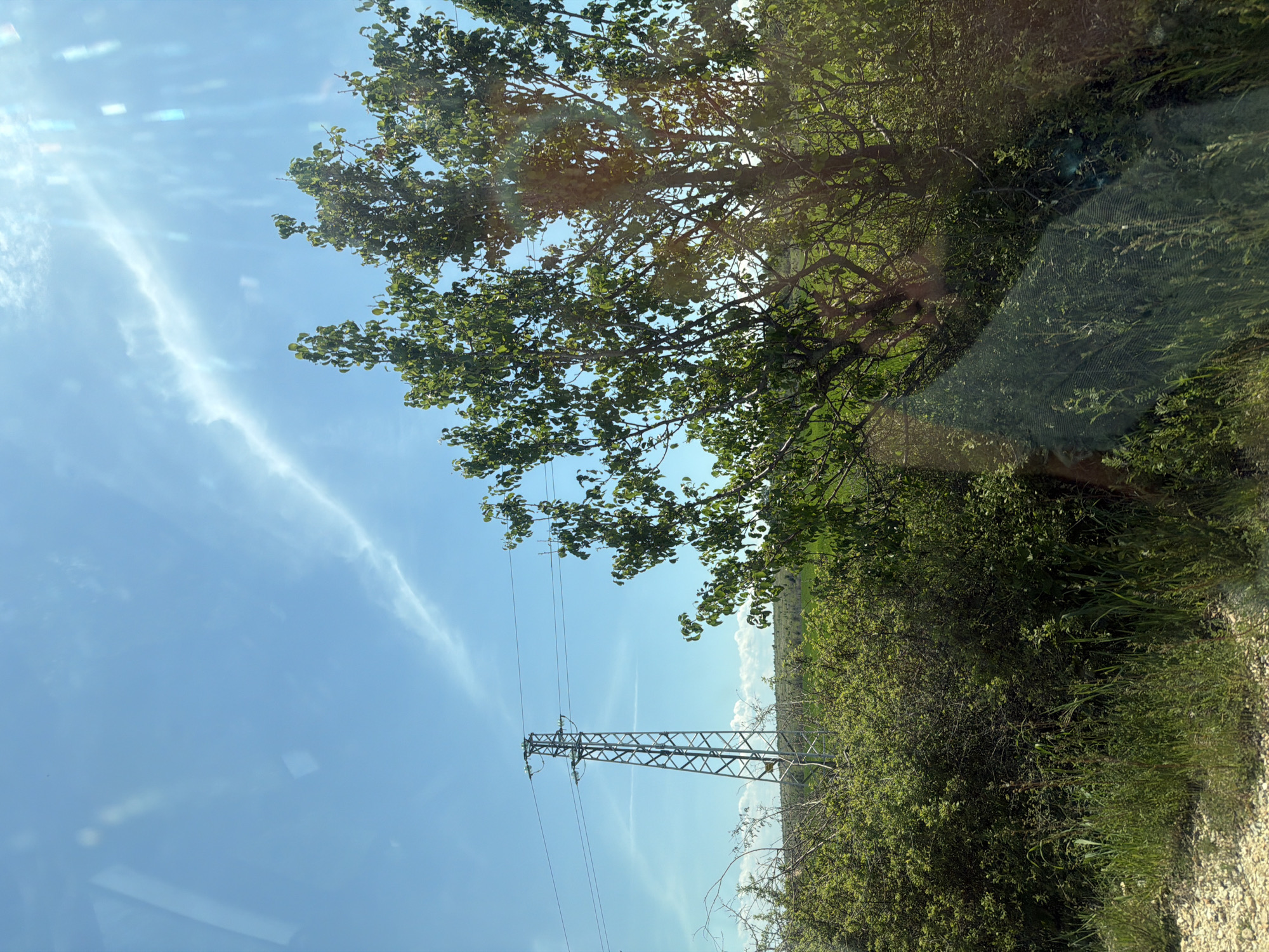 The image shows a landscape in Belovitsa, Bulgaria. A metal electricity pylon stands prominently against a blue sky streaked with wispy clouds. Trees and dense green bushes occupy the foreground and right side of the frame, partially obscuring the view. The sun is shining brightly, causing glare in the upper left corner of the image. The photo appears to be taken from within a vehicle, as evidenced by reflections and the angle of the shot.