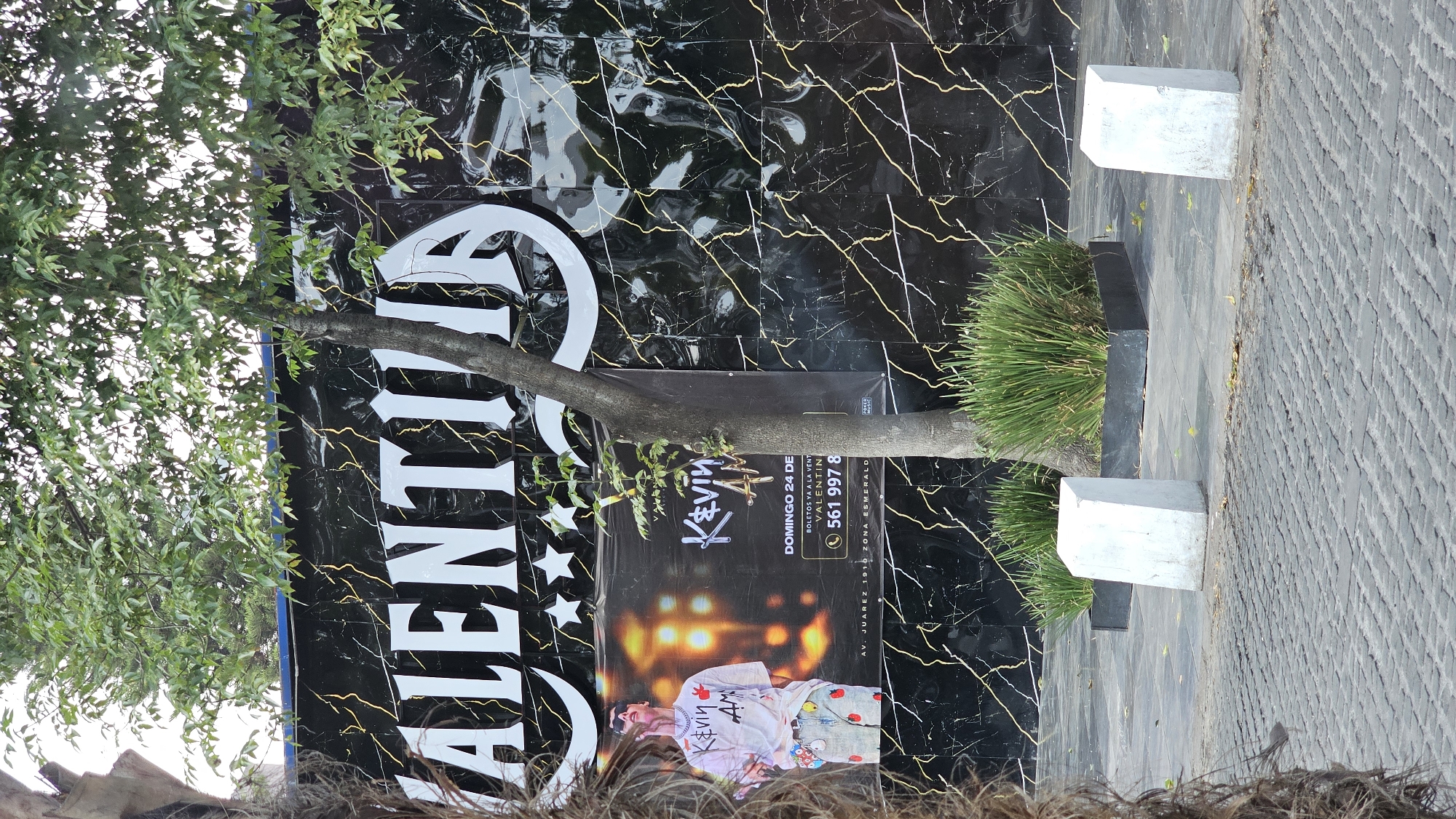 The image shows a vertical black sign with gold-colored marbling patterns and the brand name "Valentina" in large, white, stylized letters. Superimposed on the lower portion of the sign is a poster advertising an event featuring "Kevin AM" on Sunday, the 24th. The poster includes a photo of a person named Kevin, and a phone number for ticket sales is prominently displayed as 561 997 8. The sign is located on Avenida Juarez, in Zona Esmeralda, Puebla, Mexico.
The sign is partially obscured by a tree, whose trunk is directly in front of the event poster. There are green bushes at the base of the sign, adjacent to a paved walkway. Two white, cubic blocks are placed along the edge of the walkway, near the sign. The overall image is shot from a low angle, with foliage partially covering the bottom of the frame. The photograph is oriented on its side, displaying the details.