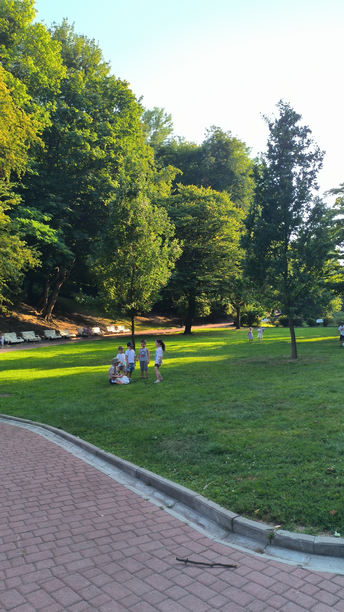 In a park in Lviv, Ukraine, on a clear day with sunlight filtering through the trees, a group of children are gathered on the grass. A few are standing and talking, while others are sitting down. In the background, there are park benches and more trees. The foreground features a brick pathway with a curb separating it from the grass. A small branch lies on the pathway. The overall atmosphere is one of a peaceful afternoon in a well-maintained park.