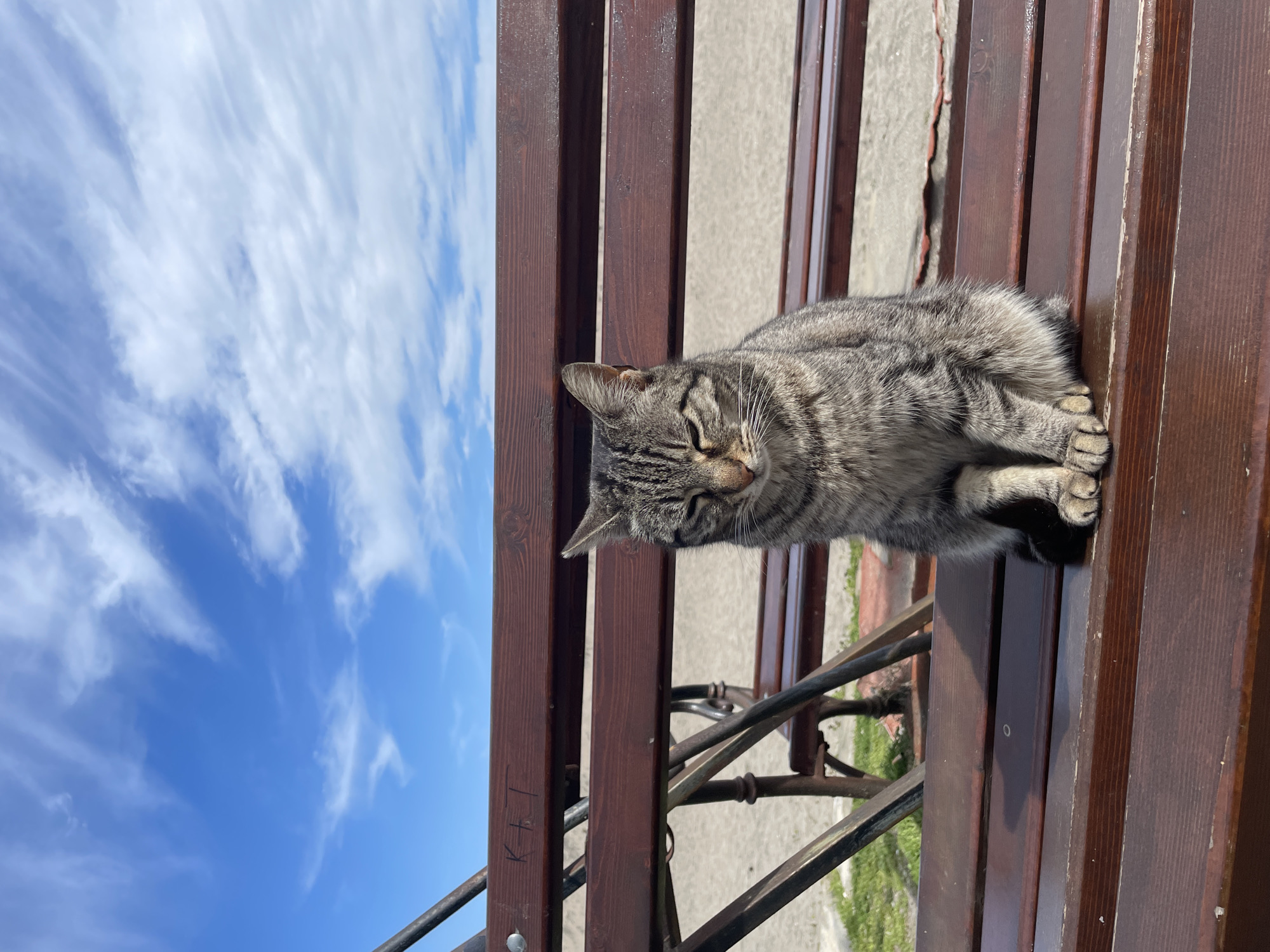 A gray tabby cat rests on a brown wooden bench outdoors. The bench appears to be in a public space, as there is a sidewalk visible in the background. A clear blue sky with scattered white clouds can be seen beside the bench. The bench has a metal frame with ornate detailing. The photo appears to be taken during the daytime under natural light. "KT" is written on the side of one of the wooden slats of the bench. The location is Burgas, Bulgaria.