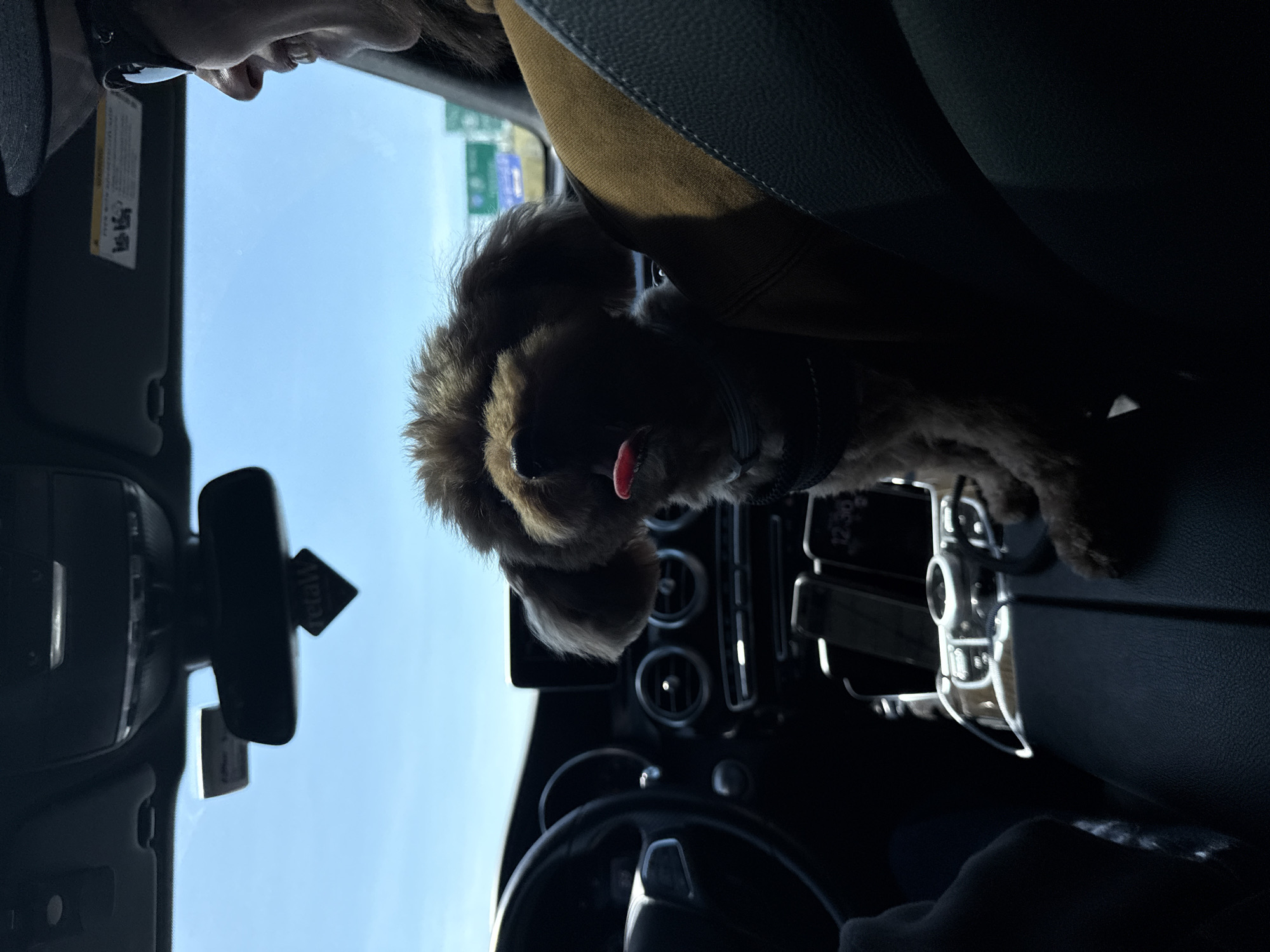 A medium-sized, brown-haired dog sits in the passenger seat of a car. The dog is wearing a collar. The dashboard of the car is visible. The sky is blue, and a sign is visible through the windshield. A partial view of a person is visible in the upper left corner of the image. The image was taken in Monroe Township, United States of America.