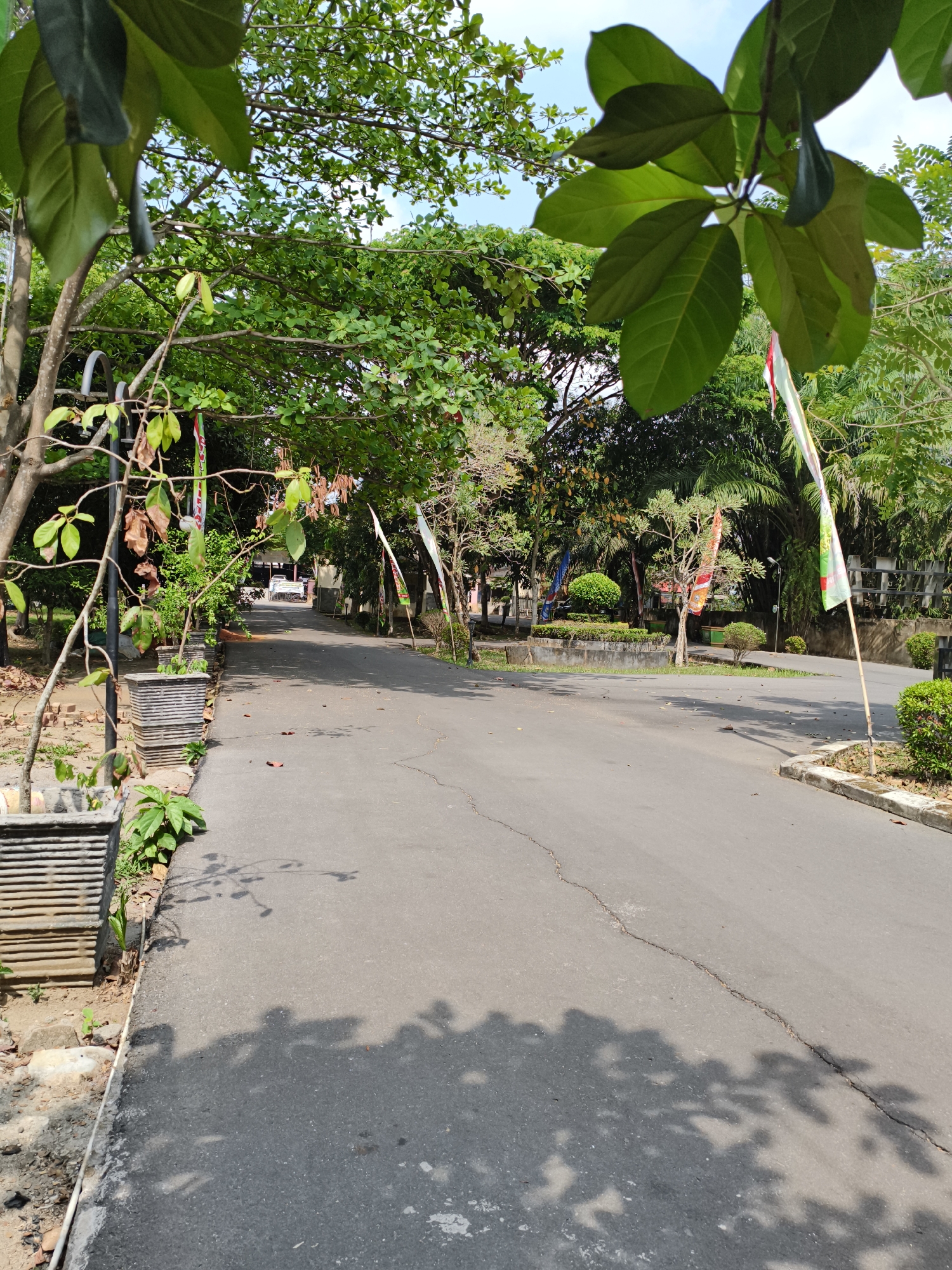 The image depicts a paved road on a sunny day, with lush green trees and vegetation lining both sides. In the foreground, large green leaves hang from a tree branch, partially obscuring the view. To the left, a street lamp stands beside a row of decorative concrete planters filled with plants. The road itself is asphalt with a noticeable crack running through it. Several flags, some appearing to be Indonesian, are planted on the right side of the road. In the distance, the road curves and leads towards buildings and more trees, suggesting a park or campus-like setting. The overall atmosphere is tranquil and natural, with dappled sunlight and shadows from the trees creating a pattern on the road.