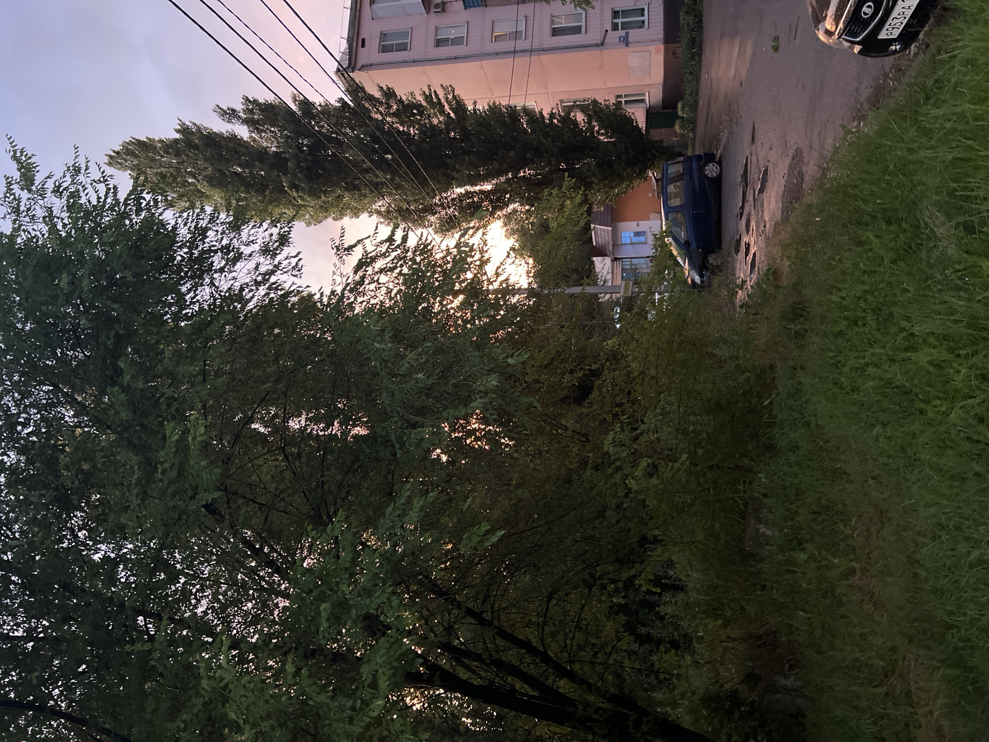 A dark blue minivan is parked on a wet asphalt road in front of a light pink, multi-story apartment building. The van is positioned at an angle, facing towards the left of the frame. To the right of the minivan, the rear of a dark-colored car with a license plate displaying "B953PA" is visible. The road appears to have several large puddles, reflecting the sky. A tall, slender tree stands to the left of the apartment building, with power lines running horizontally across its upper portion. In the foreground, tall green grass and foliage dominate the left side of the image, with a large, leafy tree partially obscuring the background. The sky is a gradient of purple and pink, suggesting it is dusk or dawn. The setting appears to be a residential area within the city of Leninsky, Russia.