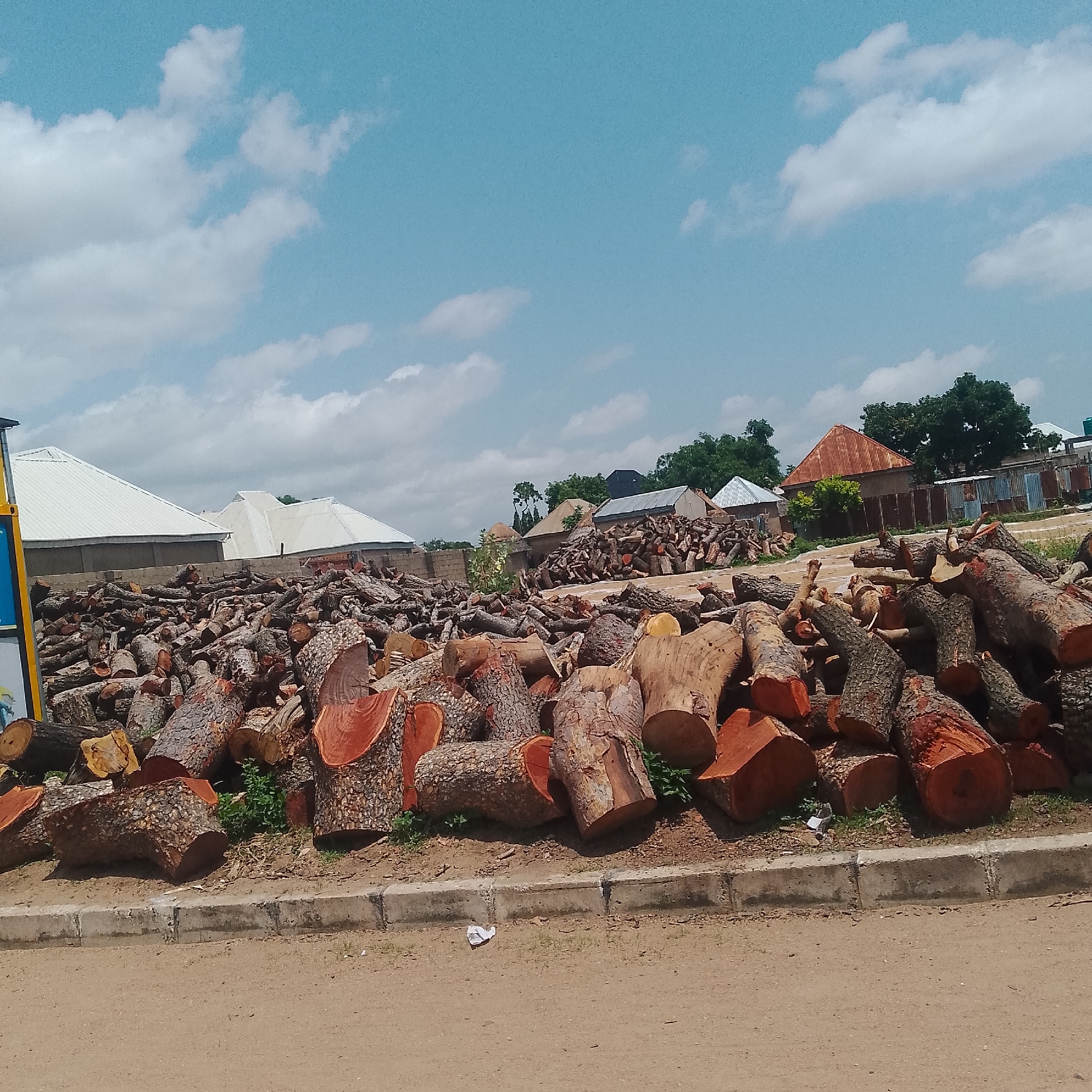 A large pile of cut logs is visible in the foreground, with several buildings and trees in the background. The logs are of various sizes and shapes, and many of them have been sawn to reveal their inner wood. The buildings in the background appear to be houses and a few shops, some with metal roofs and others with corrugated iron. Green trees and bushes are interspersed throughout the background, suggesting a semi-urban or rural setting. The sky is blue with scattered white clouds. The scene is likely from a wood yard or a location where timber is processed or sold, possibly in Jalingo, Nigeria, given the context. No people are visible in the image.