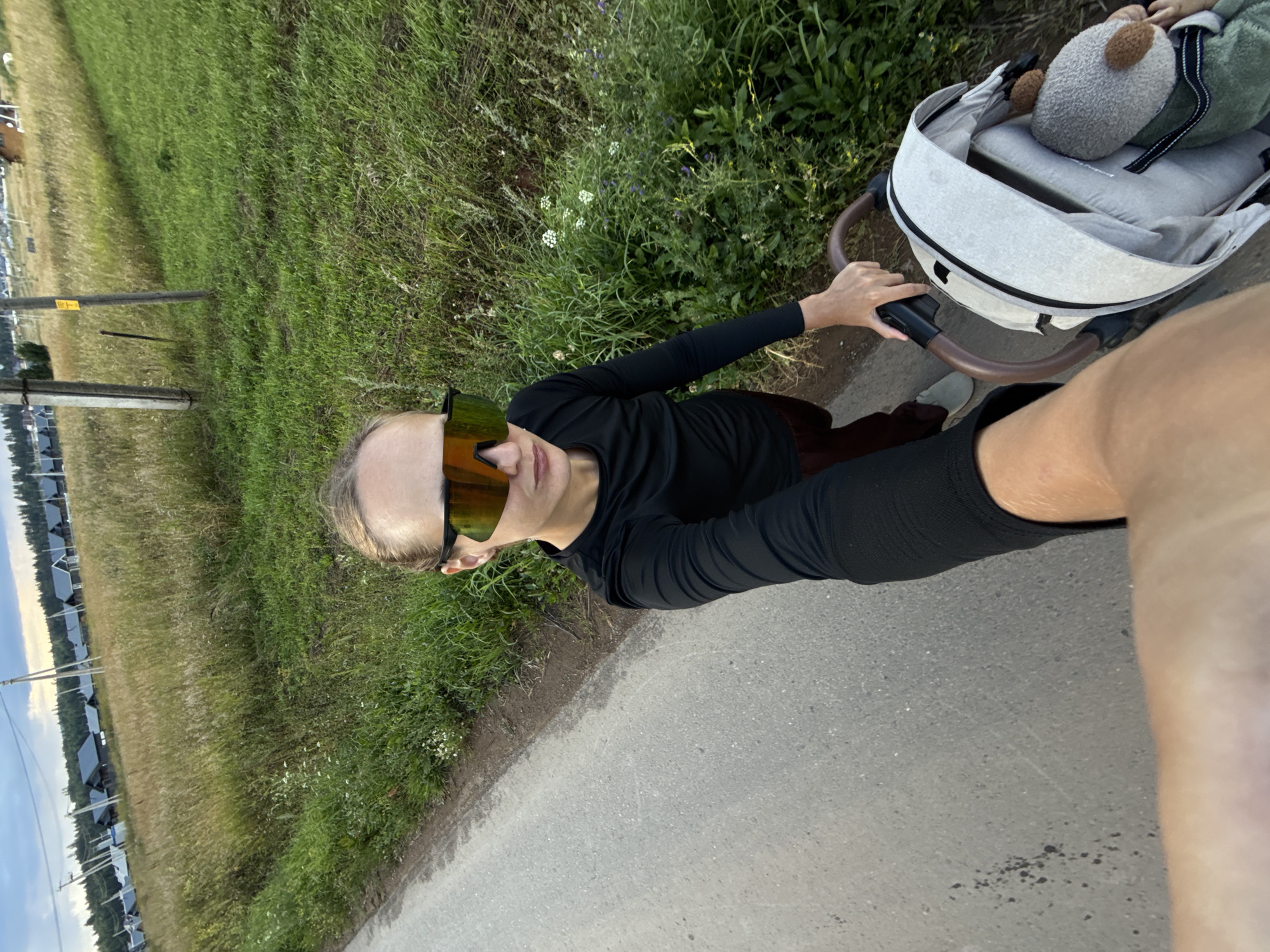The media file shows a first-person perspective of a person pushing a stroller along a paved path beside a grassy field. The person is wearing a black long-sleeved shirt and large, reflective sunglasses. The stroller contains a stuffed animal and a baby, partially visible. In the background, there is a field of tall grass and some vegetation, and further in the distance, a row of houses with dark roofs can be seen, with power lines and poles in between. The sky is visible and appears overcast. The lighting suggests it is daytime, likely afternoon. The scene appears to be outdoors in a rural or semi-rural setting. The overall impression is one of a casual walk.