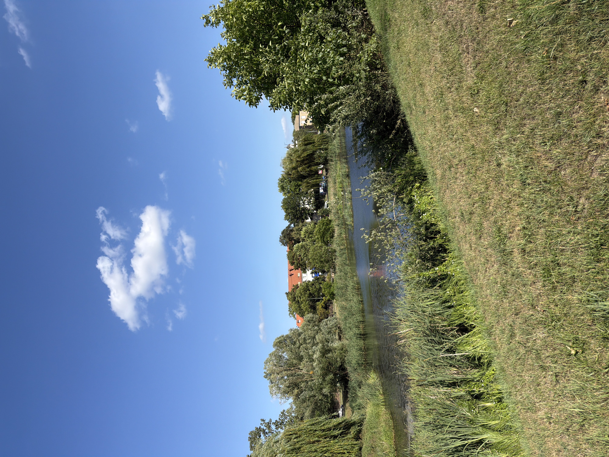 The image shows a calm river in a park area with lush green trees and grass. The sky is a vibrant blue with a few white clouds. In the background, there are some buildings with red tile roofs. This scene appears to be in Szczecin, Poland, possibly along the Oder River or one of its tributaries, offering a tranquil urban landscape.