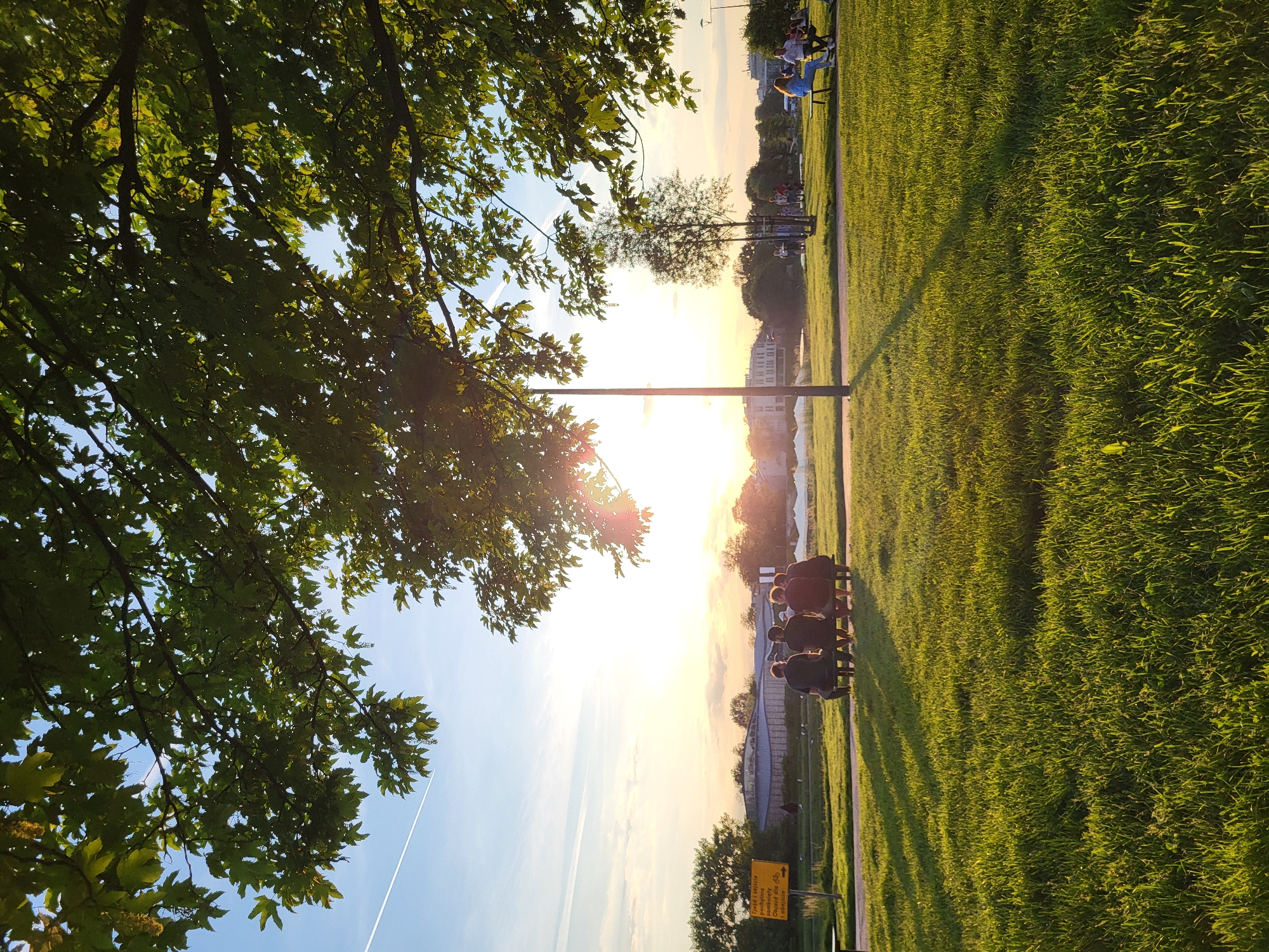 A horizontal shot depicts a park scene with the sun setting. The foreground is framed by tree branches on the left, revealing a partly cloudy sky with a visible contrail. A green grassy field extends to the right, marked by the distinct shadow of a lamp post. In the midground, silhouetted figures sit on benches, looking towards a distant horizon where buildings are faintly visible against the sun's glow reflecting on water. A sign is partially obscured near the bench area. The lighting casts long shadows, indicating late afternoon or early evening.