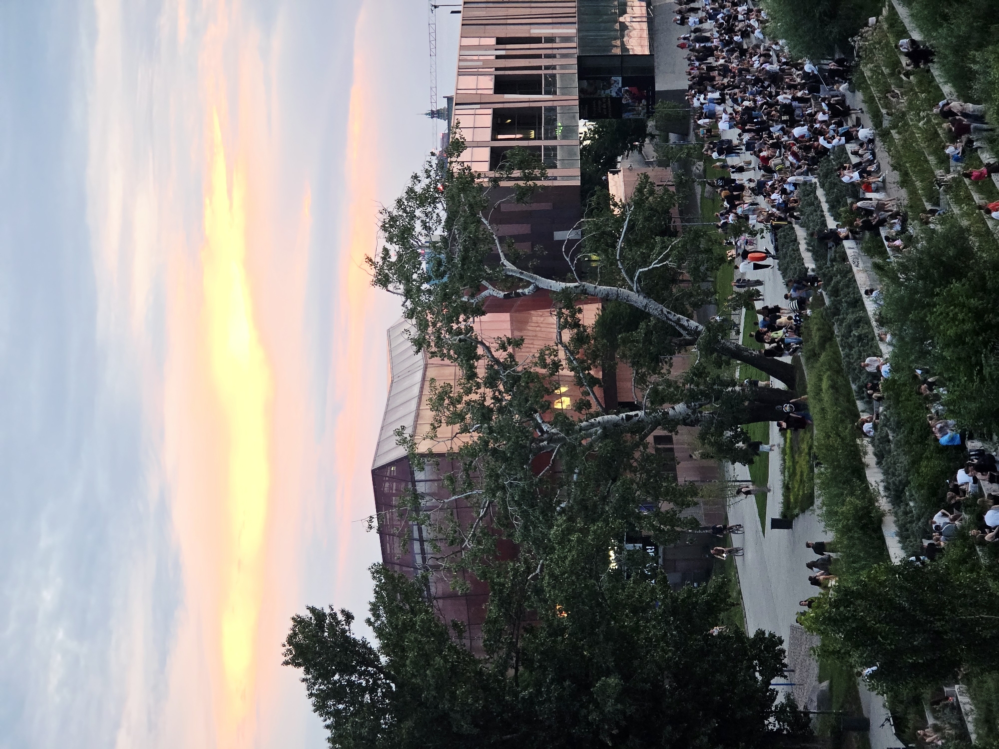The image shows a crowd of people gathered on a tiered grassy area next to a building with a modern, metallic facade. The sky is painted with vibrant hues of orange, pink, and yellow, suggesting it is either sunrise or sunset. Several trees, some with stark white bark and bare branches, are interspersed throughout the scene. The building appears to be a contemporary structure with large windows. The people are casually dressed, and their arrangement suggests they are observing an event or enjoying a communal gathering. The setting appears to be an outdoor public space, possibly a park or amphitheater, in an urban environment. The overall mood is relaxed and social. The time of day is clearly indicated by the dramatic sky. No visible text is present in the image.