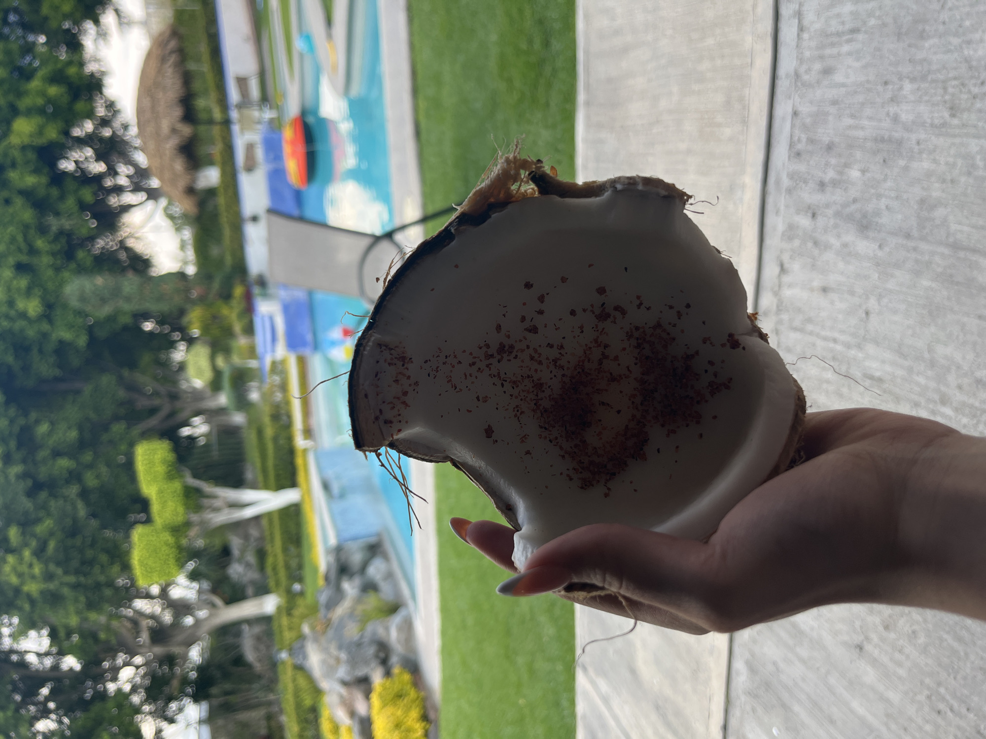 A partially cracked coconut is being held in a person's hand. The inside of the coconut has white flesh covered with small brown pieces. The background shows a blurry outdoor scene with greenery, a swimming pool, and what appears to be a thatched roof structure. The location is unknown.