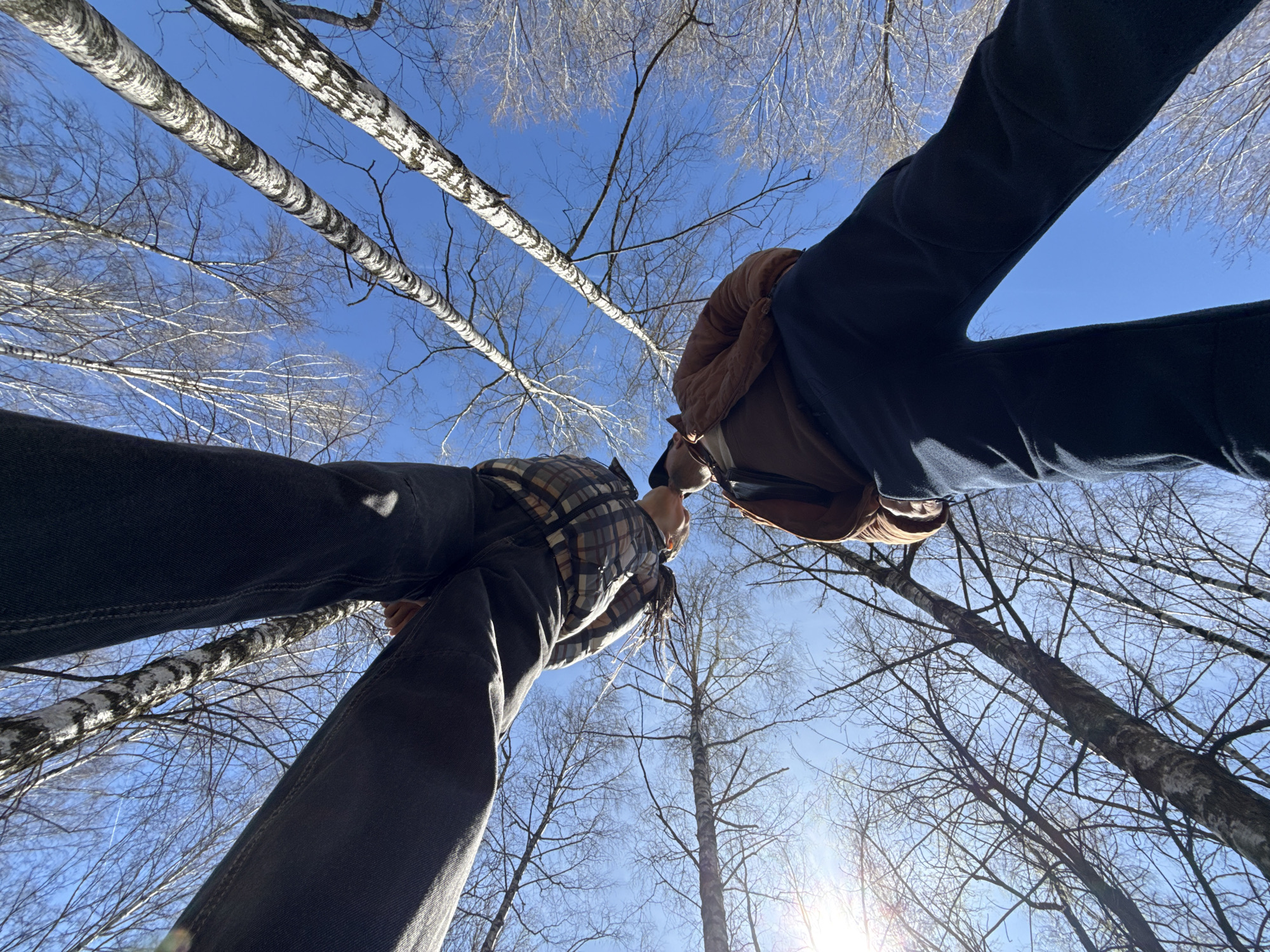 The image, taken in Rusanovo, Russia, captures a unique low-angle perspective looking upwards through bare tree branches towards a clear blue sky. Two individuals are featured in the foreground, partially silhouetted against the bright sky, creating a dynamic, wide-angle view.
The scene is set outdoors, likely in a forest or park, characterized by numerous birch trees with their distinctive white and black striped bark prominent against the sky. The leafless branches suggest the season is late autumn, winter, or early spring. It is daytime, under a clear blue sky, with visible sun glare in the lower right corner indicating sunny weather.
On the left, one person is visible from the chest down, wearing dark trousers and a plaid shirt. They have dreadlocks, part of which are visible, and are looking upwards with their head tilted back. They appear to be holding a hand or small object near their chin. On the right, the second person is seen from the waist down, dressed in dark trousers and a brown puffer jacket, also gazing upwards with their head tilted back.
The activity suggests the individuals are pausing to observe the sky and trees, possibly during a walk. Their shared upward gaze implies a moment of contemplation or appreciation of their natural surroundings. No visible text is present in the image. The overall impression is one of calm observation amidst nature.