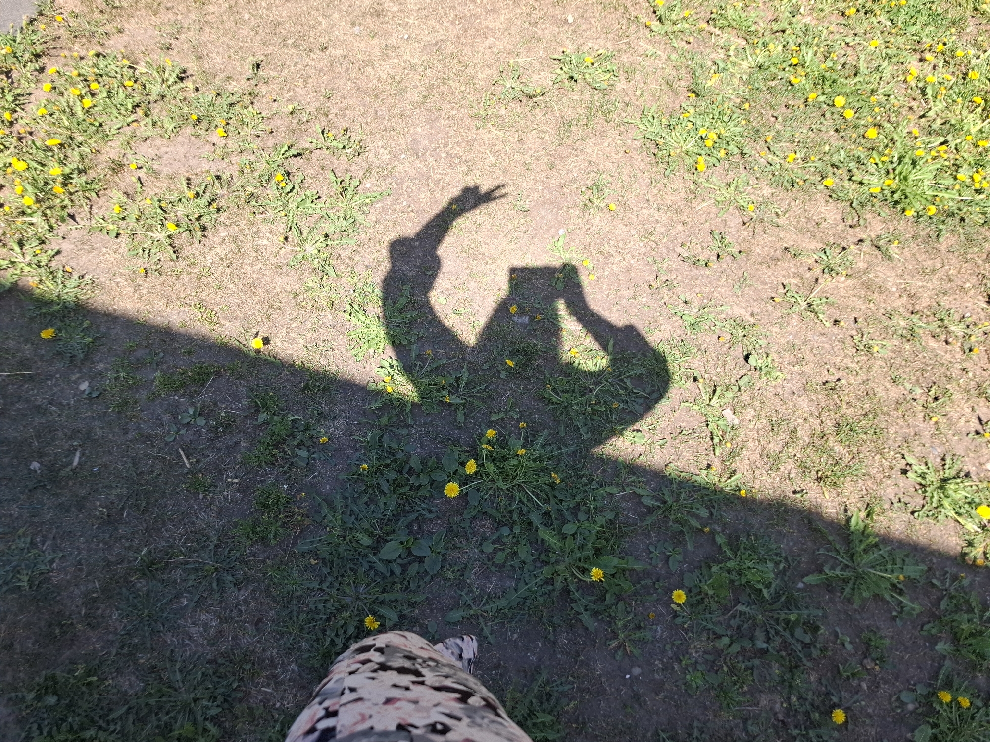 The image shows a shadow of a person holding a smartphone and making a peace sign with their other hand, cast on a patch of grass and bare earth with scattered yellow dandelions. The lower part of a leg with a patterned garment is also visible at the bottom of the image. A darker, shaded area occupies the lower-left quadrant of the scene. The photo appears to be taken outdoors in daylight. There is no information in the picture indicating a specific location in the city of Амзя, Russia.