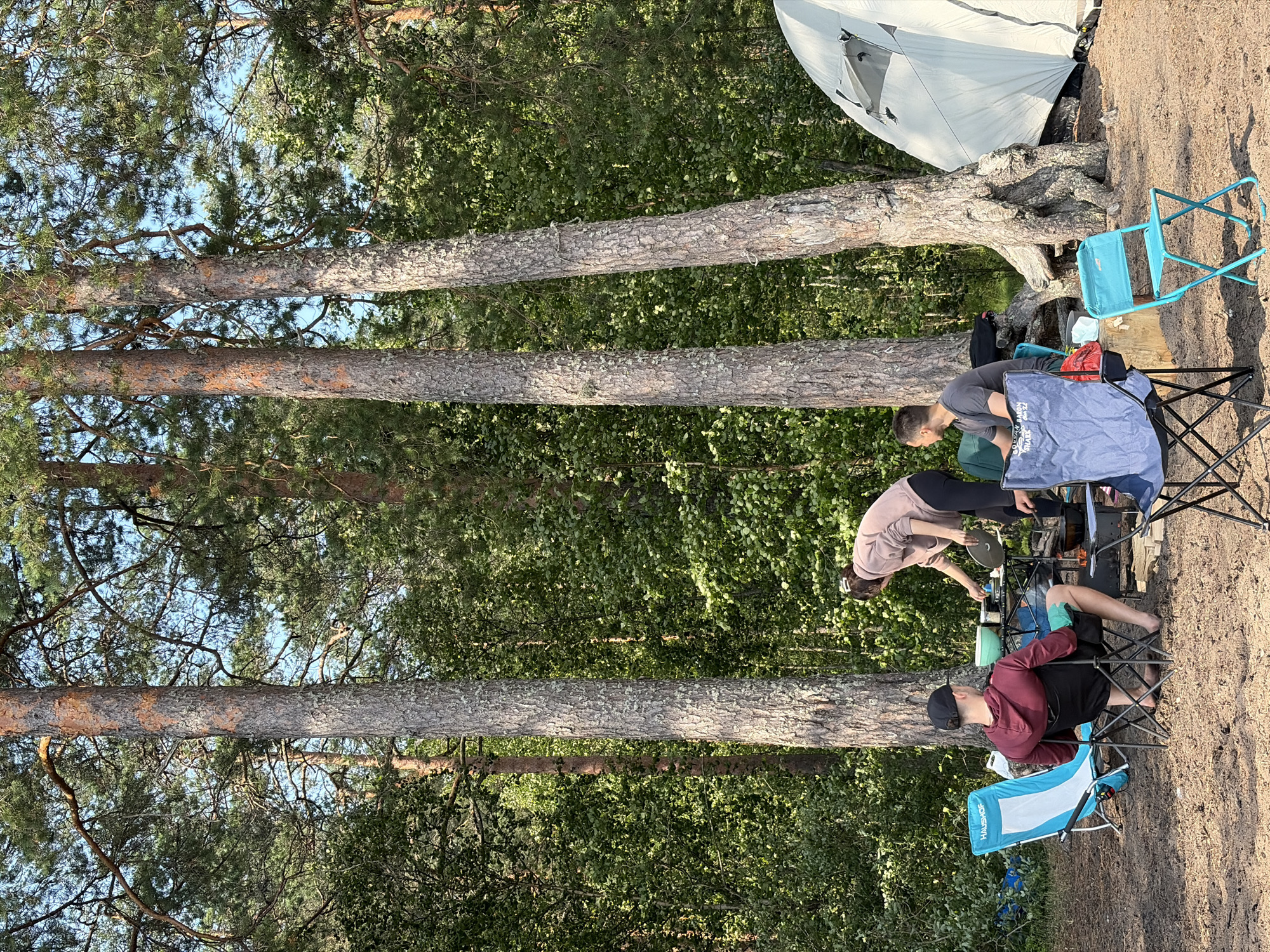 In Vaskelovo, Russia, a group of people are engaged in outdoor recreation amidst a pine forest. Three individuals are present: one person, wearing a maroon hoodie and a black baseball cap, is seated in a blue and white camping chair, facing away from the camera and towards a campsite. Another individual, wearing a light pink hoodie and dark pants, is standing and appears to be cooking at a portable stove, with a bowl and pot visible. A third person, wearing a grey t-shirt, is seated in a blue camping chair.
The campsite features several camping chairs arranged around a makeshift cooking area. A table is set up with cooking supplies, and a campfire is visible, with a black pot placed over it. A large, light-colored tent is pitched nearby, partially obscured by large pine trees with exposed roots. The ground is covered in sand and pine needles. The environment is characterized by tall pine trees and dense green foliage under a clear blue sky.