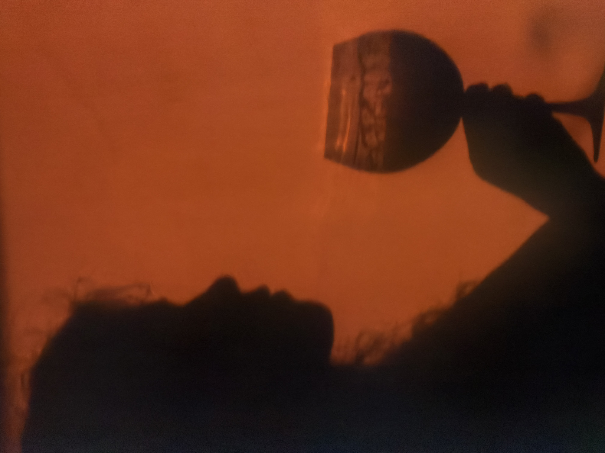 A silhouetted figure, likely a person with wavy or curly hair, is depicted against a vivid, diffused reddish-orange background. The person's head is tilted back, showcasing their profile from the neck up. Above their head, a hand firmly grasps the stem of a wine glass, which is angled as if being tilted to drink or pour. The glass bowl reflects subtle patterns or light, indicating its transparency, though its contents are indistinct.
The scene is presented in high contrast, with the dark silhouette of the person and the glass standing out against the luminous, warm background. This dramatic lighting suggests the soft, expansive glow of a sunset or sunrise, or a carefully lit indoor setting, creating an atmosphere of warmth and intimacy. The activity appears to be a moment of personal indulgence or relaxation, possibly contemplation.
No specific location cues are visible within the image itself, but the context places the scene in Chaikovsky, Russia. There is no visible text in the media file. The overall mood is tranquil and evocative.
