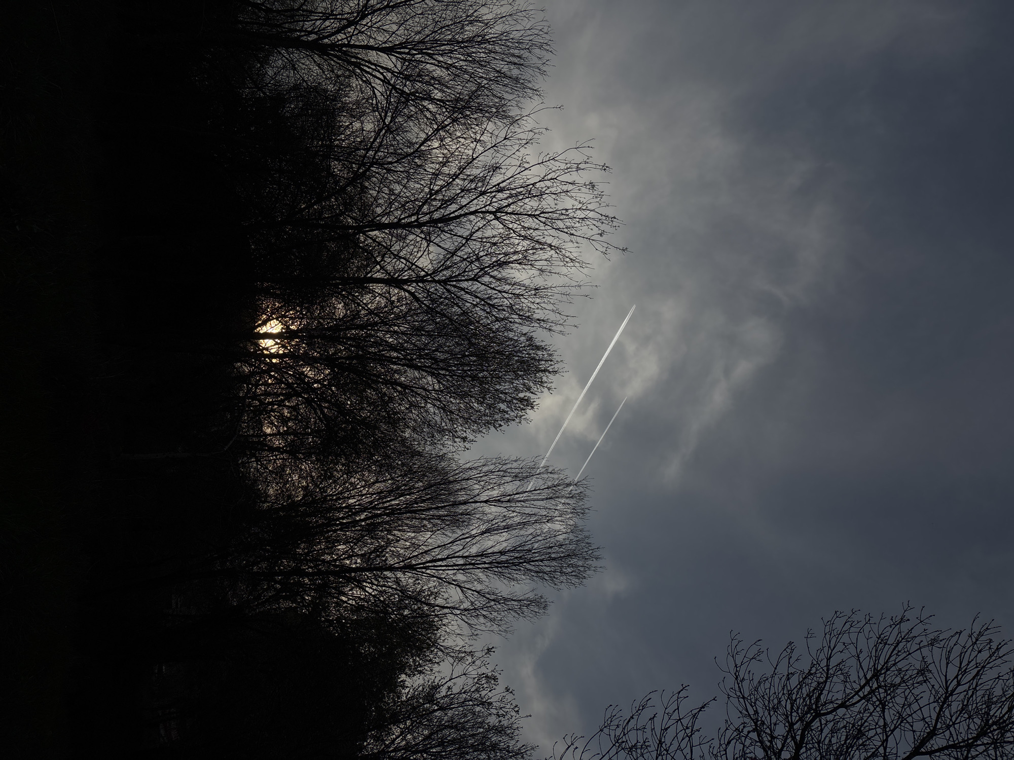 The image presents a view angled upwards towards a cloudy sky, partially obscured by the silhouettes of bare trees. The branches of the trees, devoid of leaves, create a dense network of lines against the sky. A contrail, possibly from an airplane, is visible as a thin, white line across the sky. Glimmers of sunlight are visible behind some of the tree branches, creating a contrast between light and dark. Without additional information, the specific location in Sofia, Bulgaria cannot be determined.