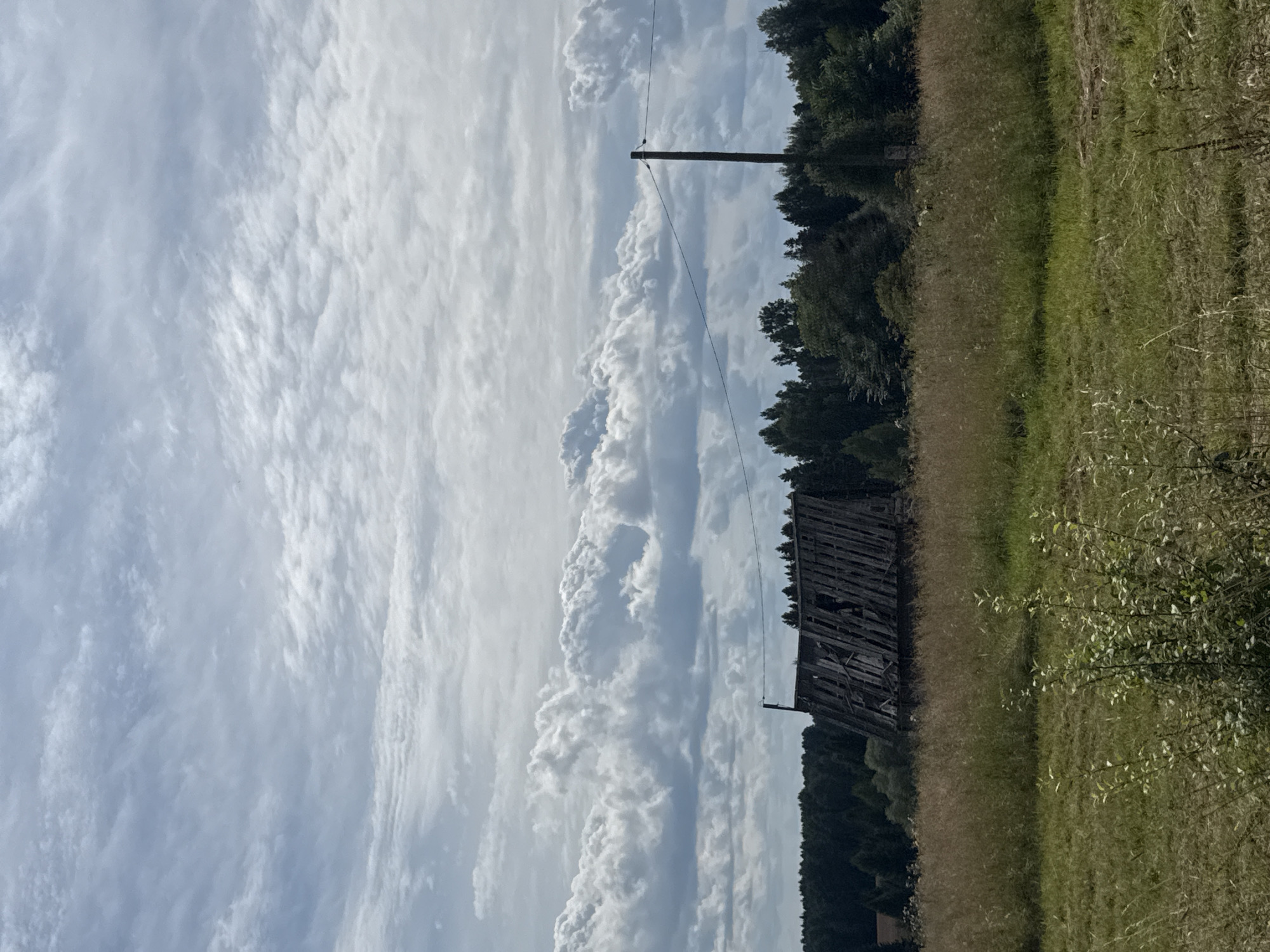 An overcast, wide shot captures a rural scene in Nylga, Russia. In the foreground, a field of tall, dry grass slopes gently towards a line of trees forming a dense forest that stretches across the middle ground. A dilapidated wooden structure, possibly a barn or shed, with a broken roof and exposed timbers, stands prominently against the trees. A lone wooden utility pole with a wire stretched across it is visible to the right of the structure, further emphasizing the remote, unpopulated nature of the setting. The sky is filled with heavy, textured clouds, suggesting an impending rain or a recently passed storm. The overall impression is one of abandonment and the quiet resilience of nature reclaiming man-made structures.