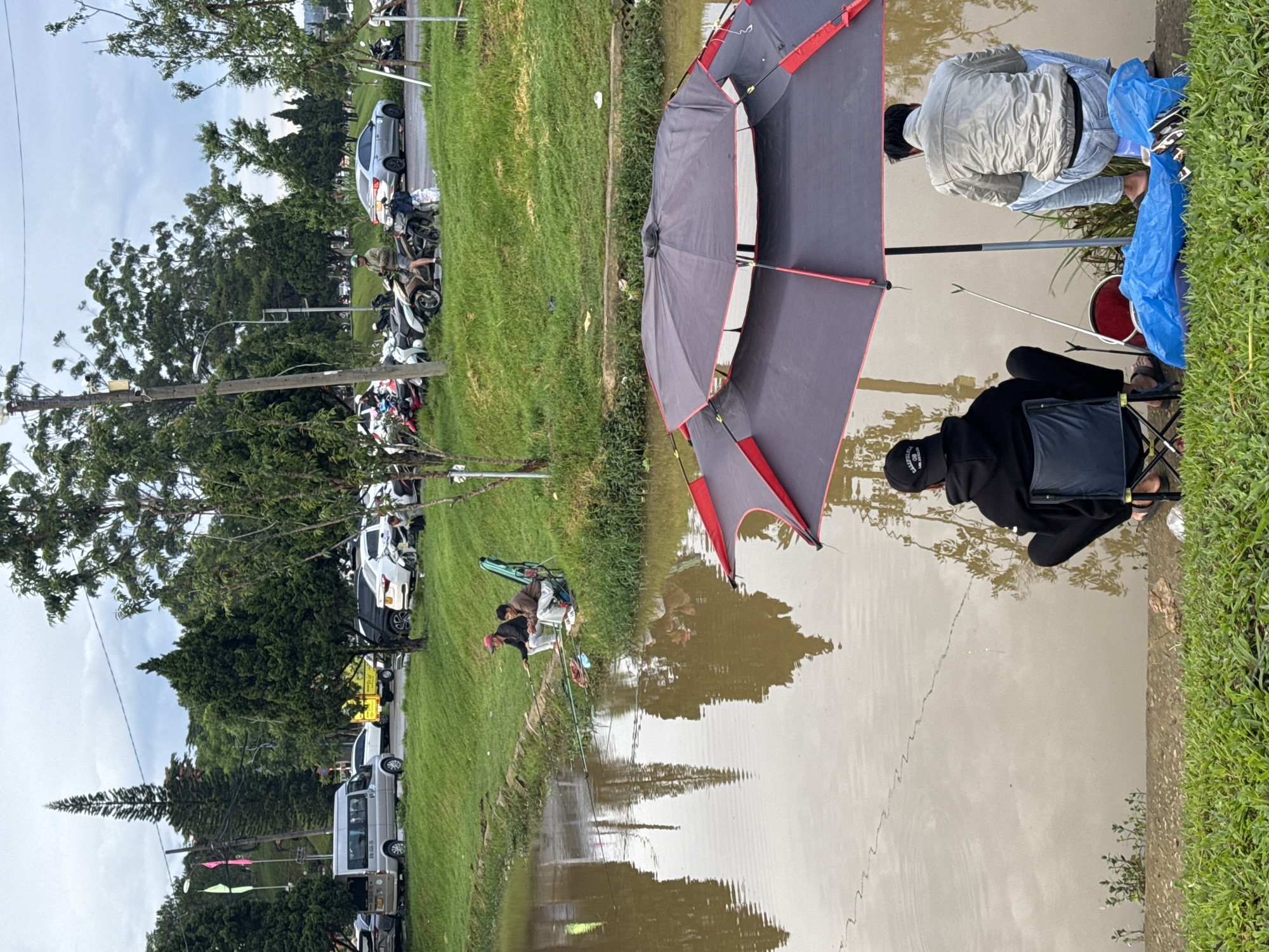 Two men are fishing in a murky body of water near a grassy bank. One man wears a black hoodie and hat, sitting in a black folding chair. The other man wears a light-colored jacket and jeans. A large gray and red umbrella stands behind them. The water reflects the overcast sky and surrounding trees. On the far side of the bank, a road is lined with parked cars and motorbikes. Trees and buildings are visible in the background. This scene is in Da Lat, Vietnam.