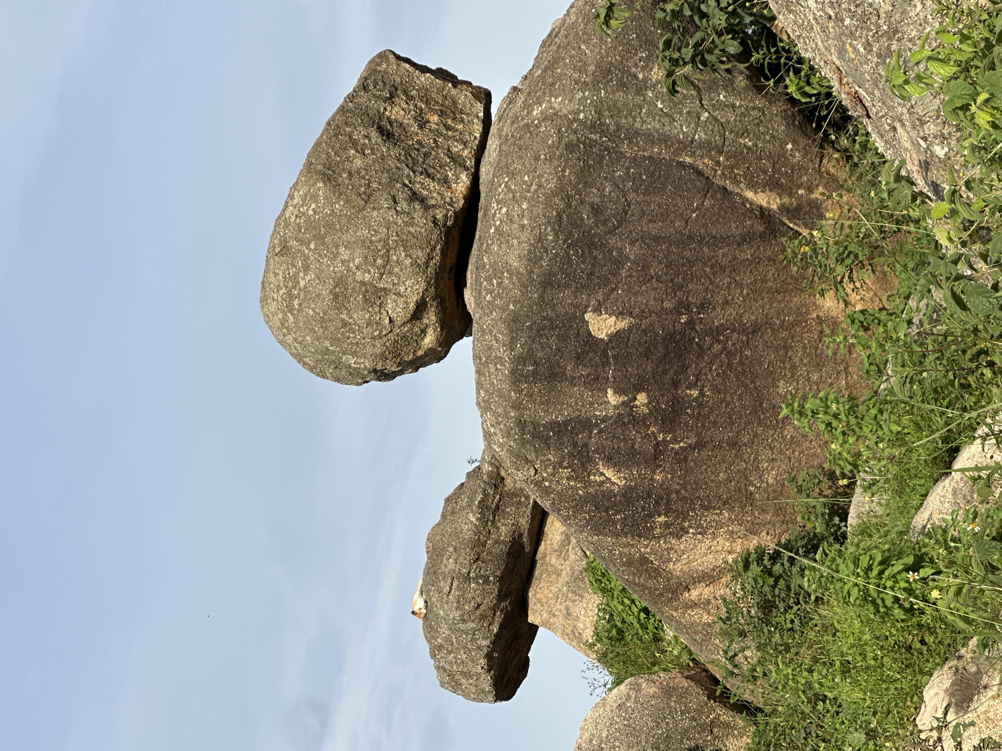 A small, light-colored dog is sleeping on top of a large, flat boulder. The boulder is part of a formation of massive, weathered granite rocks that rise from a landscape covered in green vegetation. In the background, a clear blue sky is visible, with a single, tiny bird flying in the distance. The scene is likely in the city of Jos, Nigeria, known for its striking rock formations and hilly terrain.