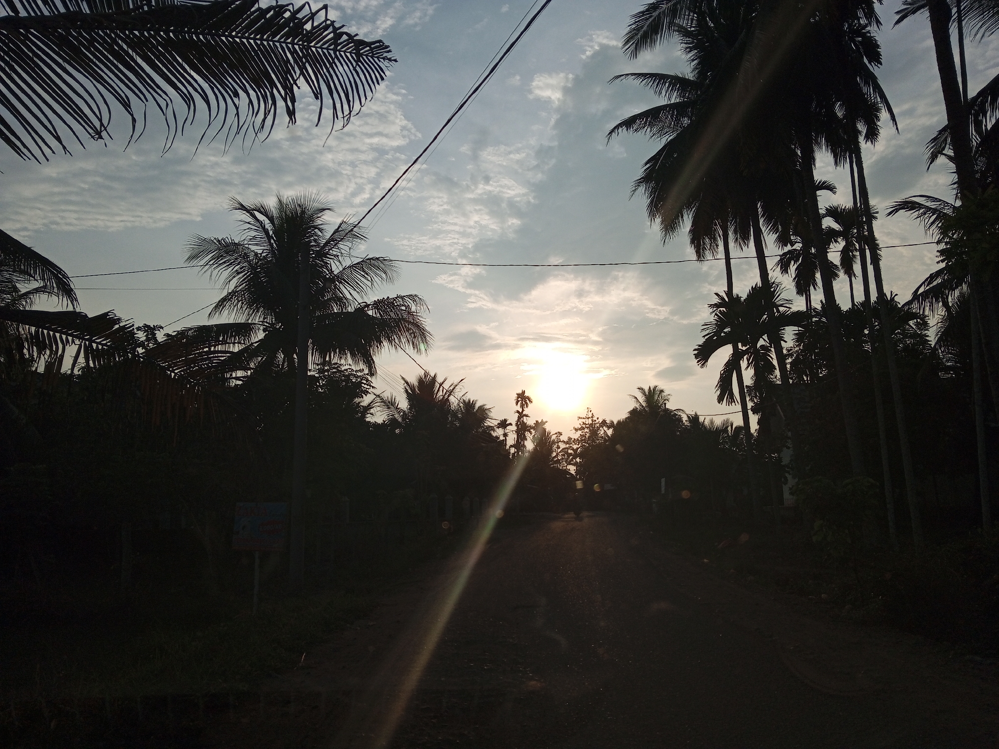 The image depicts a rural road in Blang Mee, Indonesia, during either sunrise or sunset. The sky is partly cloudy with the sun low on the horizon, casting a warm glow and creating lens flare across the scene. The road itself is unpaved and appears to be made of dirt or gravel, with some evidence of tire tracks.
Silhouetted against the bright sky are numerous palm trees, characteristic of the tropical landscape. The trees form a dense canopy on either side of the road, creating a shaded effect. Some electrical wires are visible strung across the upper portion of the image, indicating the presence of electricity in the area.
On the left side of the road, partially obscured by shadows, is a signpost with some text and graphics, though it is too indistinct to be clearly read. There are no people clearly visible in the frame, but the overall impression is of a quiet, natural setting on the outskirts of a settlement. The image captures a serene moment in a tropical environment.