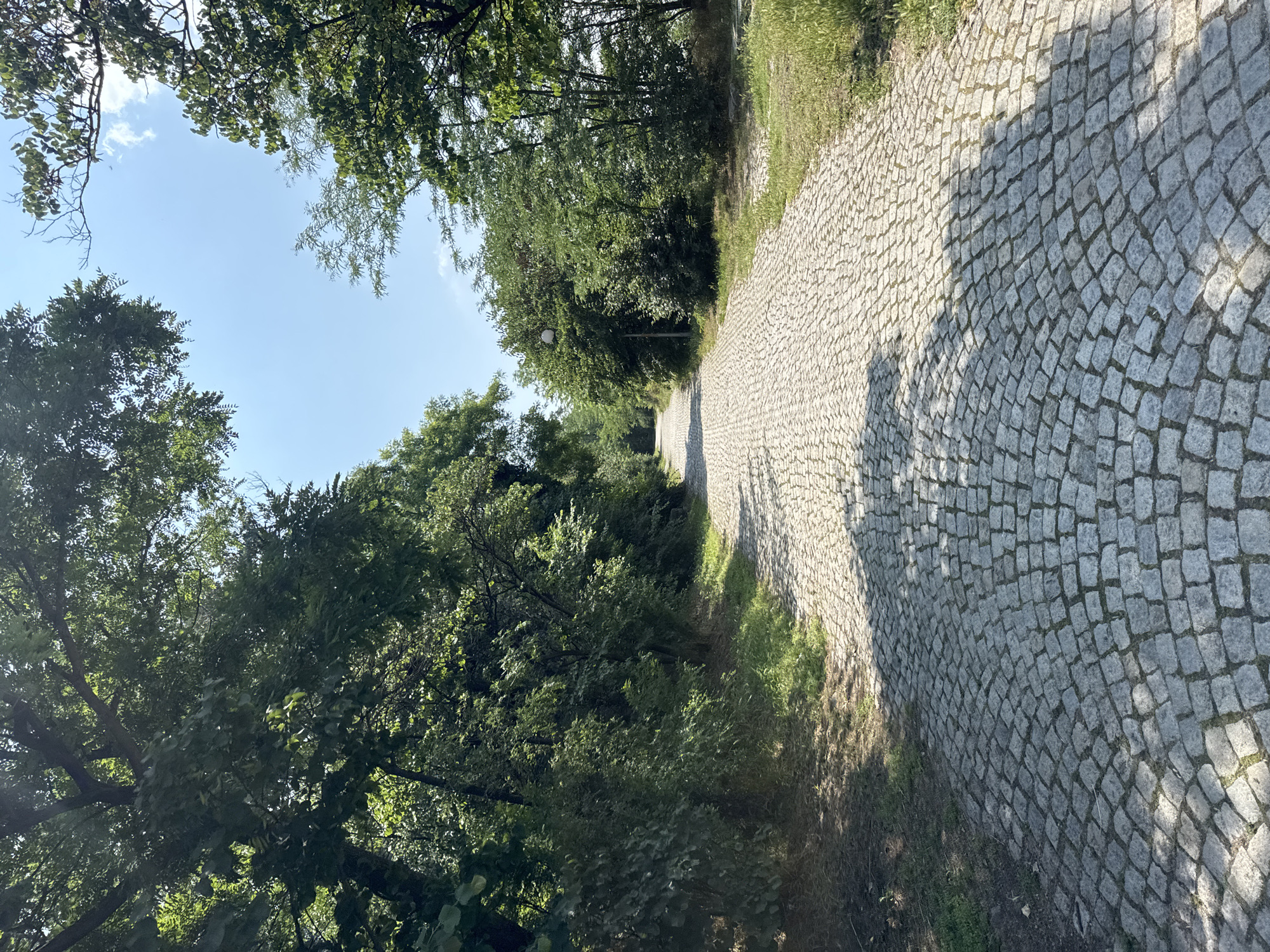 The image captures a serene outdoor scene, likely a park or a treelined pathway in Plovdiv, Bulgaria. A winding cobblestone path, made of varied shades of grey and tan stones, is the central subject, stretching into the distance and receding from view. Lush green trees and dense foliage flank both sides of the path, creating a natural canopy overhead in places. The leaves show vibrant greens, indicating a healthy, flourishing environment.
Above the tree line, a clear, bright blue sky with a few sparse white clouds is visible. The sun, high in the sky, casts distinct, long shadows of trees and branches across the cobblestone path, suggesting it is a sunny day, likely during late morning or early afternoon. These shadows add depth and texture to the path's surface. On the left side of the path, further down, a lamppost can be discerned amidst the greenery. No people or specific activities are visible, conveying a sense of quiet solitude and natural beauty. The setting invites walking or leisurely contemplation. There is no visible text in the image.