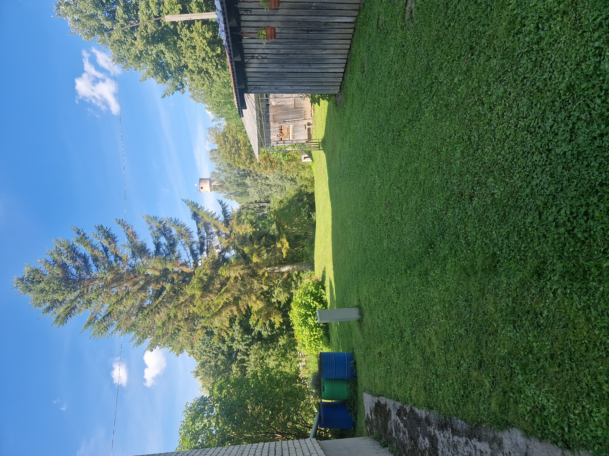 In the city of Zemkopības institūts, Latvia, a backyard scene unfolds under a bright blue sky with scattered white clouds. The foreground is dominated by a lush green lawn, which appears neatly mowed. To the left, a portion of a brick building is visible, and adjacent to it, a dark, wet concrete path leads away from the viewer. Several large plastic barrels – one blue, one green, and another blue – are positioned on the grass near the concrete path. A tall, slender concrete post stands in the middle of the lawn.

Behind the barrels and post, a dense cluster of green bushes creates a natural barrier. Further into the background, a towering evergreen tree with dark green needles dominates the left side of the frame, casting shadows on the lawn. To the right of the evergreen, a more distant, lighter-colored tower structure is visible above the treeline.

The right side of the image features a rustic wooden structure, possibly a shed or outbuilding, with vertical wooden planks. This structure has a sloped roof covered with what appears to be corrugated material. Two small potted plants hang from the side of this wooden building. Beyond this structure and the evergreen tree, a dense collection of deciduous trees with vibrant green foliage forms a natural backdrop, suggesting a rural or semi-rural setting. The overall impression is one of a well-maintained outdoor space on a clear, sunny day.