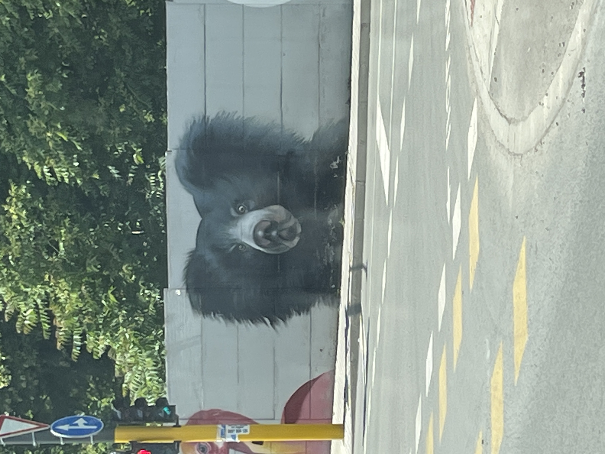 An outdoor, eye-level, medium shot captures a mural of a black bear painted on a concrete wall in Sofia, Bulgaria. The bear's head dominates the mural, with its dark fur radiating outwards, framing a light-colored snout and large, expressive eyes. The mural is situated on a wall that runs parallel to a street, with a sidewalk separating the wall from the road. The street is marked with white and yellow directional lines. A yellow traffic light pole with various road signs is visible on the left side of the image, partially obscuring the mural. Behind the wall, dense green trees form a natural backdrop. The lighting suggests it is daytime.