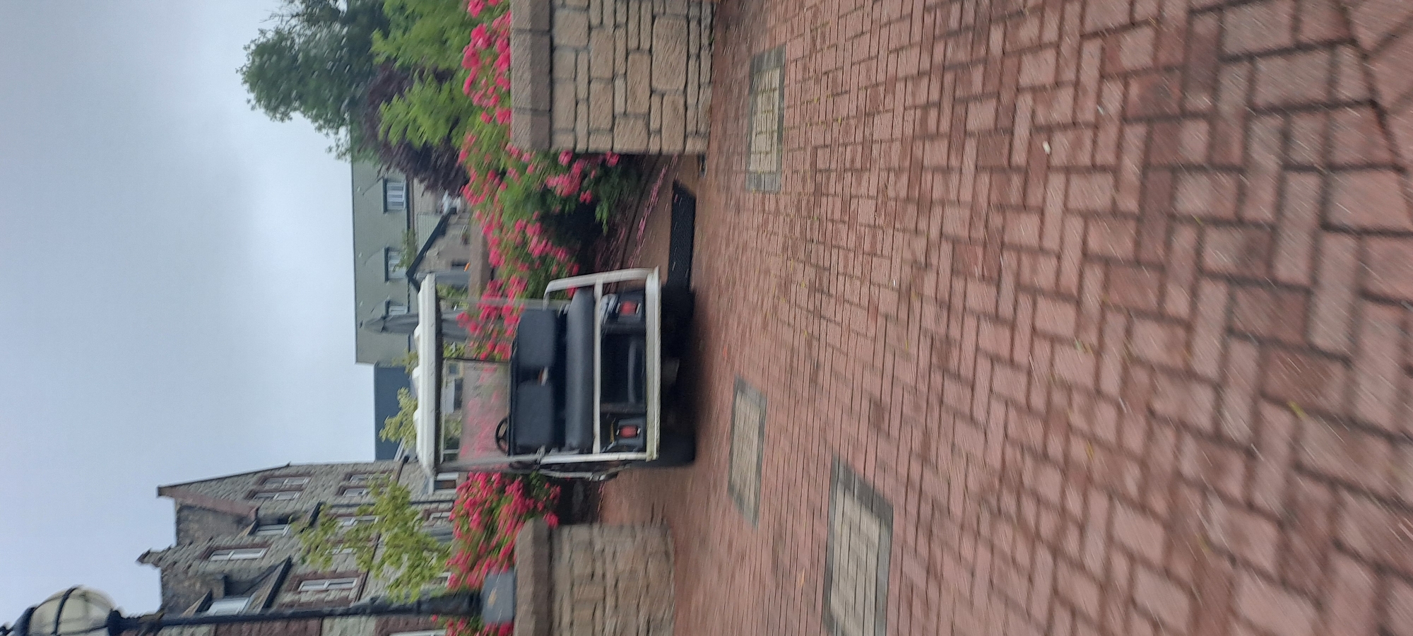 An outdoor, medium shot captures a golf cart parked on a brick pathway in Castlebar, Ireland. The golf cart is white with black seating and appears empty. Behind the golf cart, a dense bush with bright pink flowers provides a vibrant backdrop. The area is bordered by stone walls. In the distance, a multi-story building with a stone facade is visible, suggesting an urban or town setting. The sky is overcast, indicating a cloudy day. The brick pathway is wet, suggesting recent rain. The image is slightly blurry, possibly due to motion or a lower resolution.