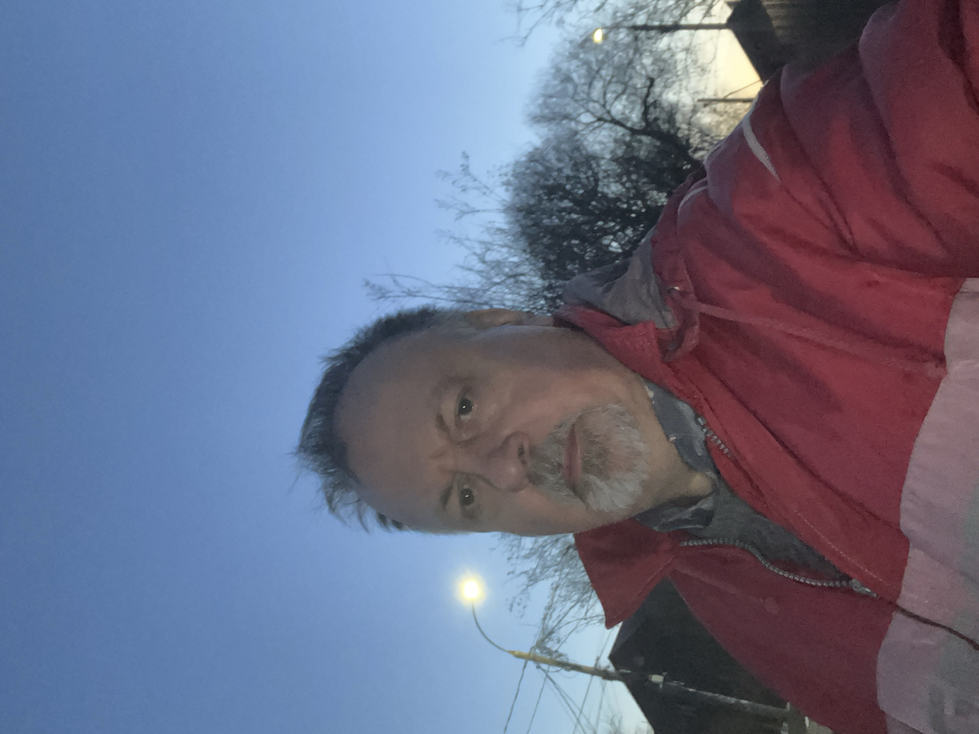 A selfie taken outdoors at dusk in what appears to be an urban environment. The subject is a middle-aged man with short gray hair and a goatee, wearing a red and gray hooded jacket. He is looking directly at the camera. In the background, there's a dark silhouette of leafless trees against a dusky blue sky. A lit street lamp is also visible in the background. Without further information, providing the location within Podolsk, Russia, is not possible.