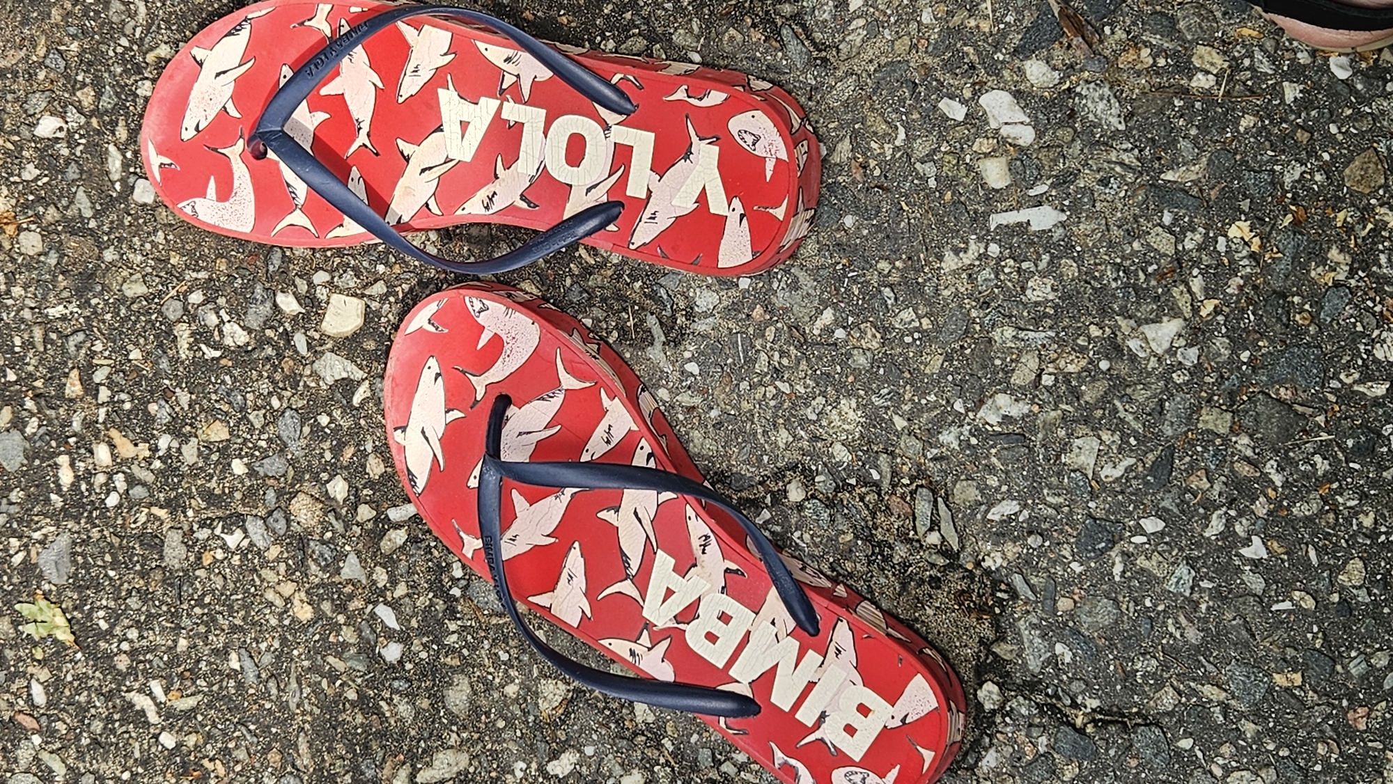 A pair of red flip-flops with a shark pattern and white lettering is displayed on a grey, pebbly surface that appears to be asphalt or concrete. The left flip-flop has the word "BIMBA" printed in large white letters, while the right flip-flop has the word "LOLA" printed in similar white letters. The flip-flops have dark blue straps. The surface is rough and uneven, with small stones and debris scattered across it. The image is taken from a top-down perspective, with the flip-flops positioned slightly angled to each other. There is no indication of the city of Dyurso, Russia, or any other specific location.