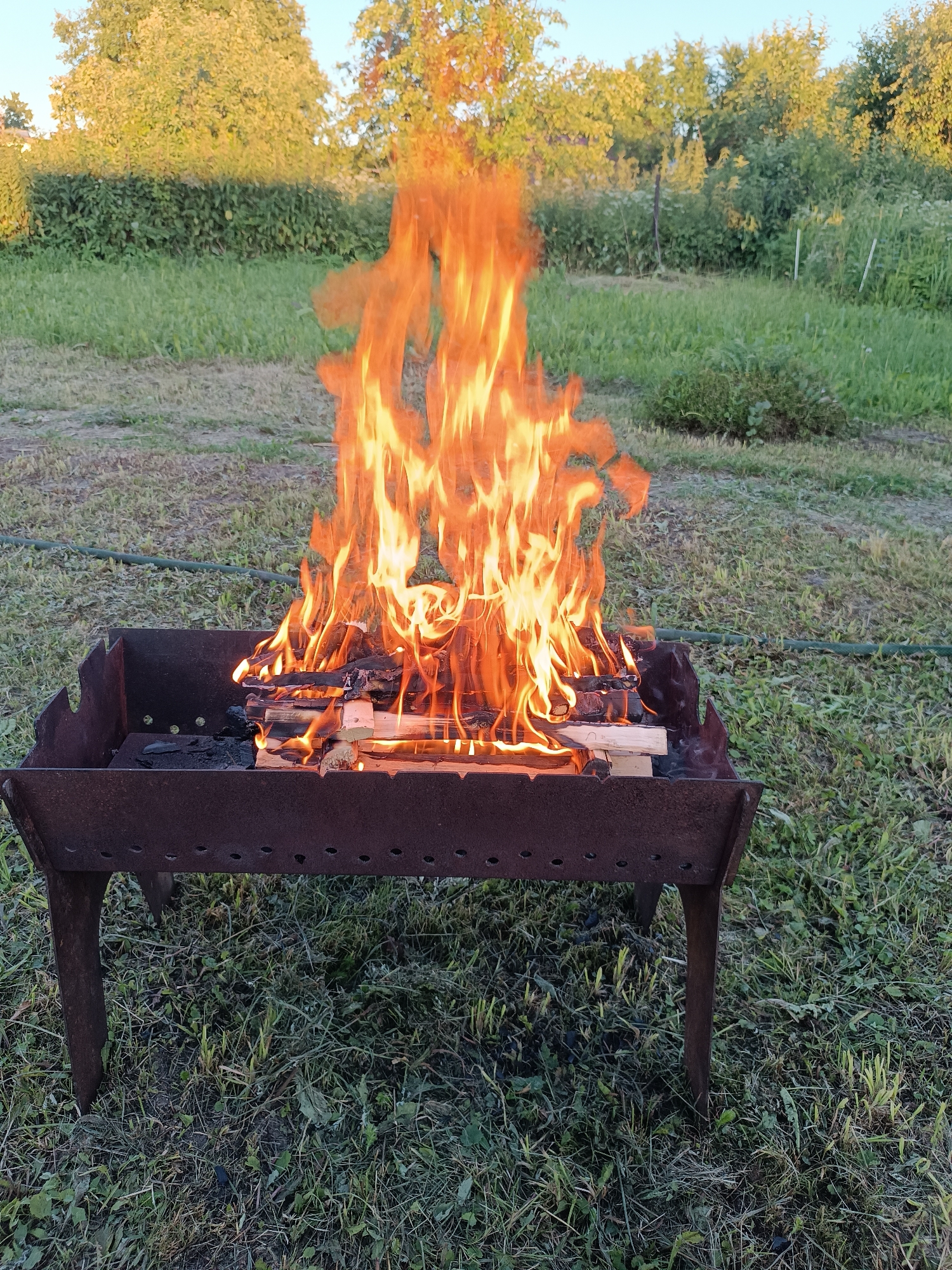 A fire burns in a metal brazier placed on a grassy area. The brazier is dark brown and appears weathered, with multiple legs supporting it. Inside the brazier, several pieces of wood are ablaze, emitting tall, vibrant orange and yellow flames that rise significantly above the structure. The surrounding area is covered in green grass, with some patches of dry, yellowed grass. In the background, a line of trees with green and yellow foliage is visible against a clear, pale blue sky. The overall scene suggests an outdoor setting, possibly a yard or park, in a rural or suburban area. There are no people or animals visible in the image. The lighting indicates it is likely late afternoon or early evening due to the warm tones of the fire and the sunlight on the trees.